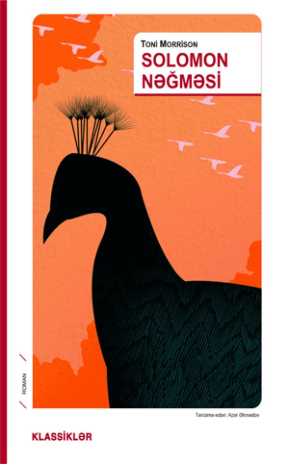 Обложка книги «SOLOMON NƏĞMƏSİ»