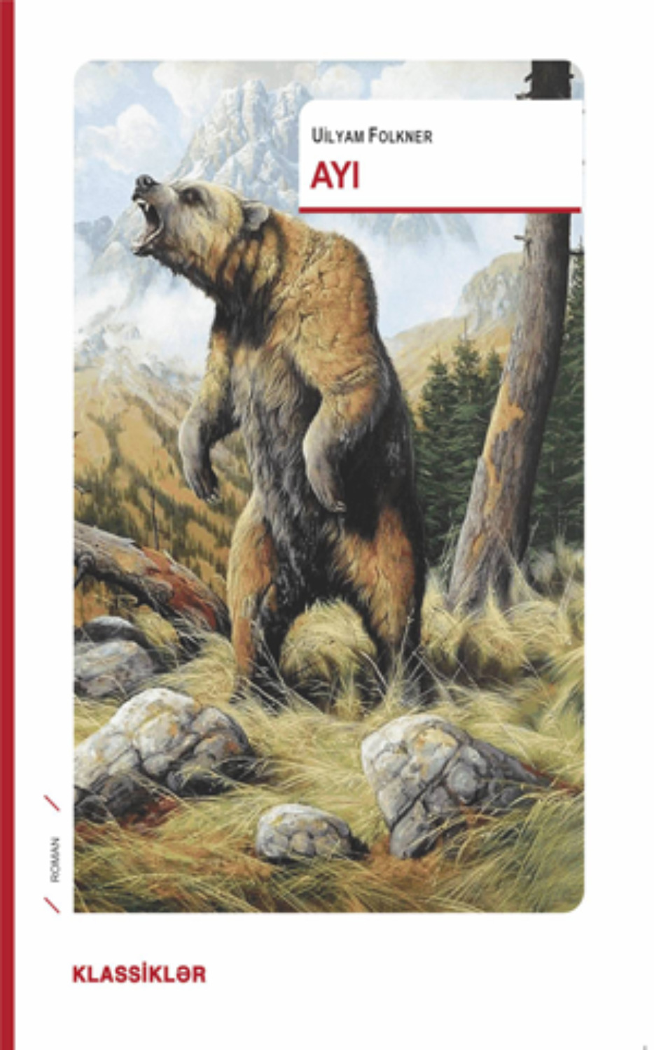 Обложка книги «AYI»