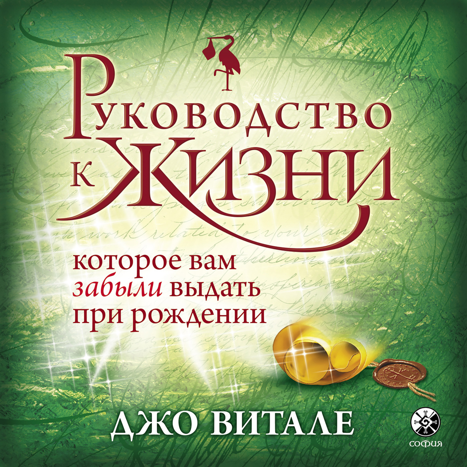 Обложка книги «Руководство к жизни, которое вам забыли выдать при рождении»