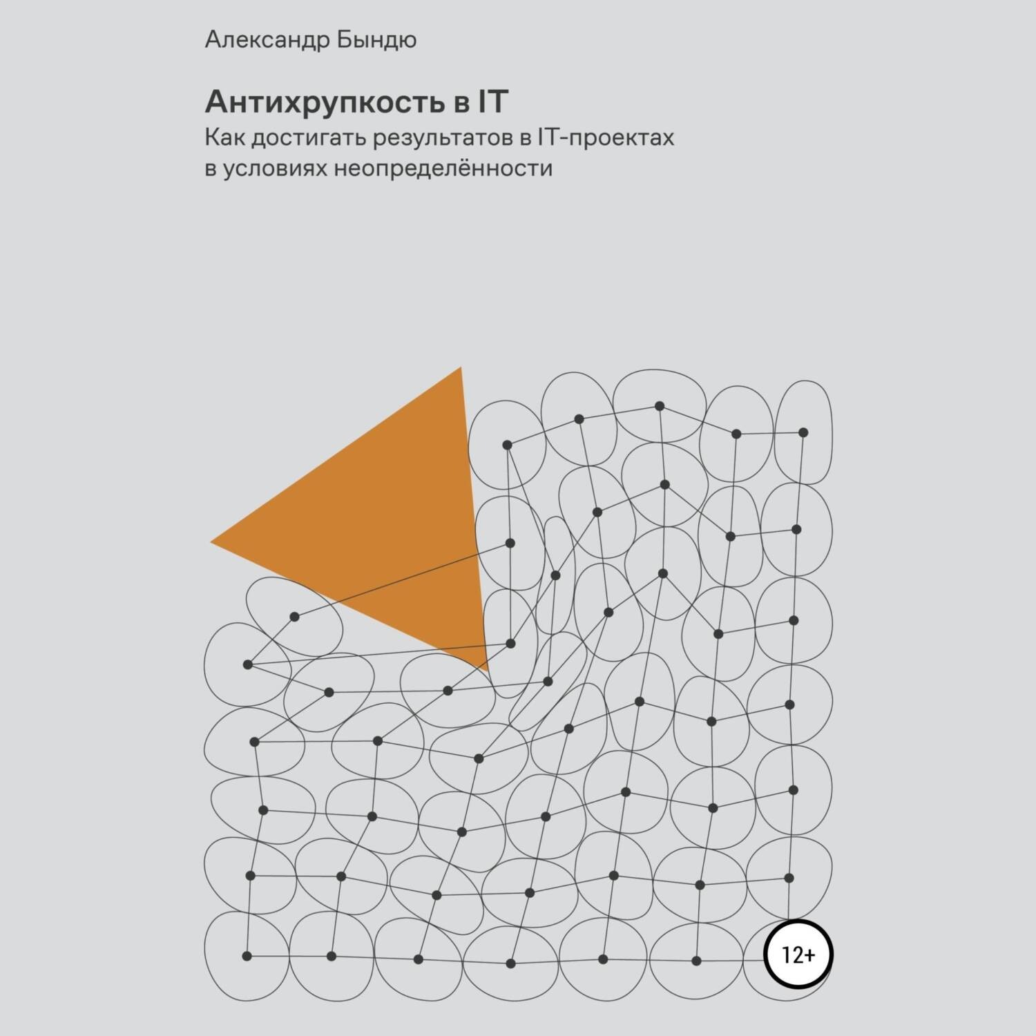 Обложка книги «Антихрупкость в IT»