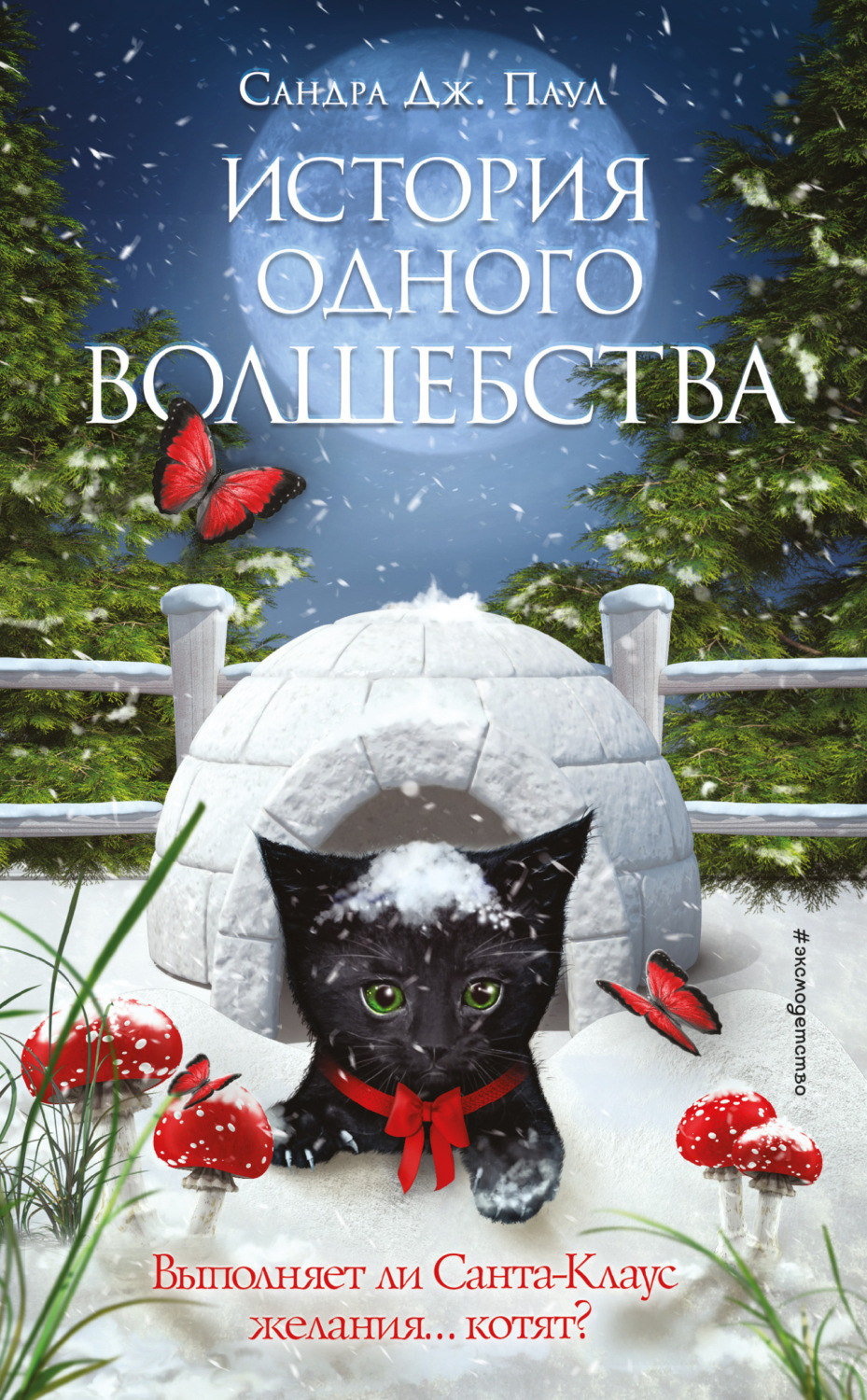 Обложка книги «История одного волшебства»