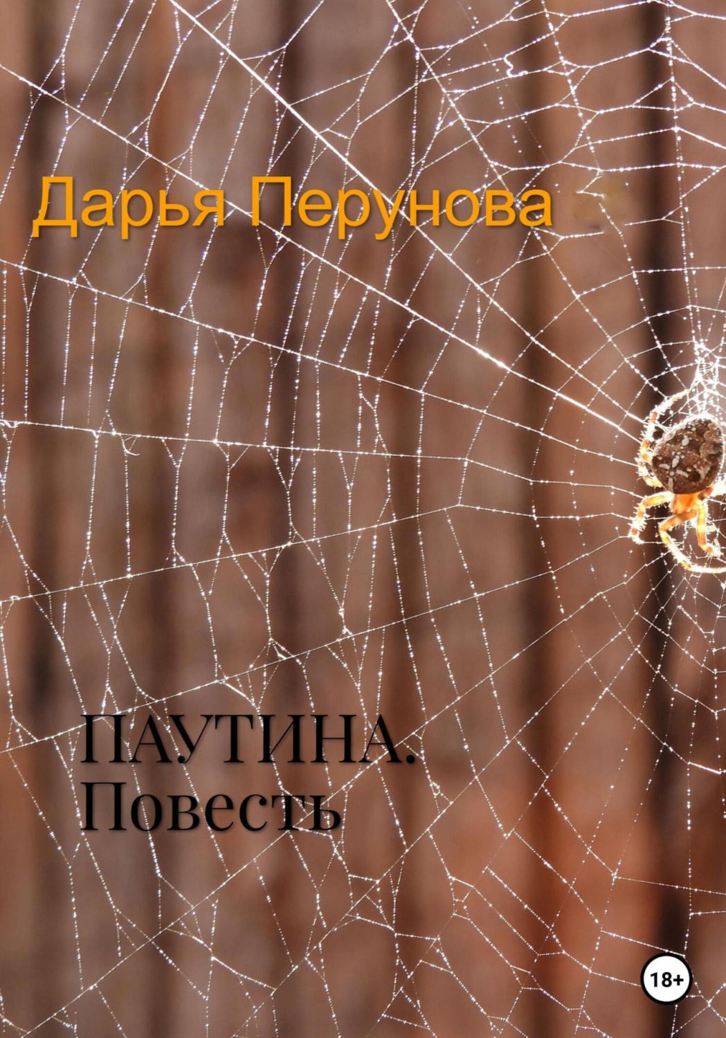 Обложка книги «Паутина»