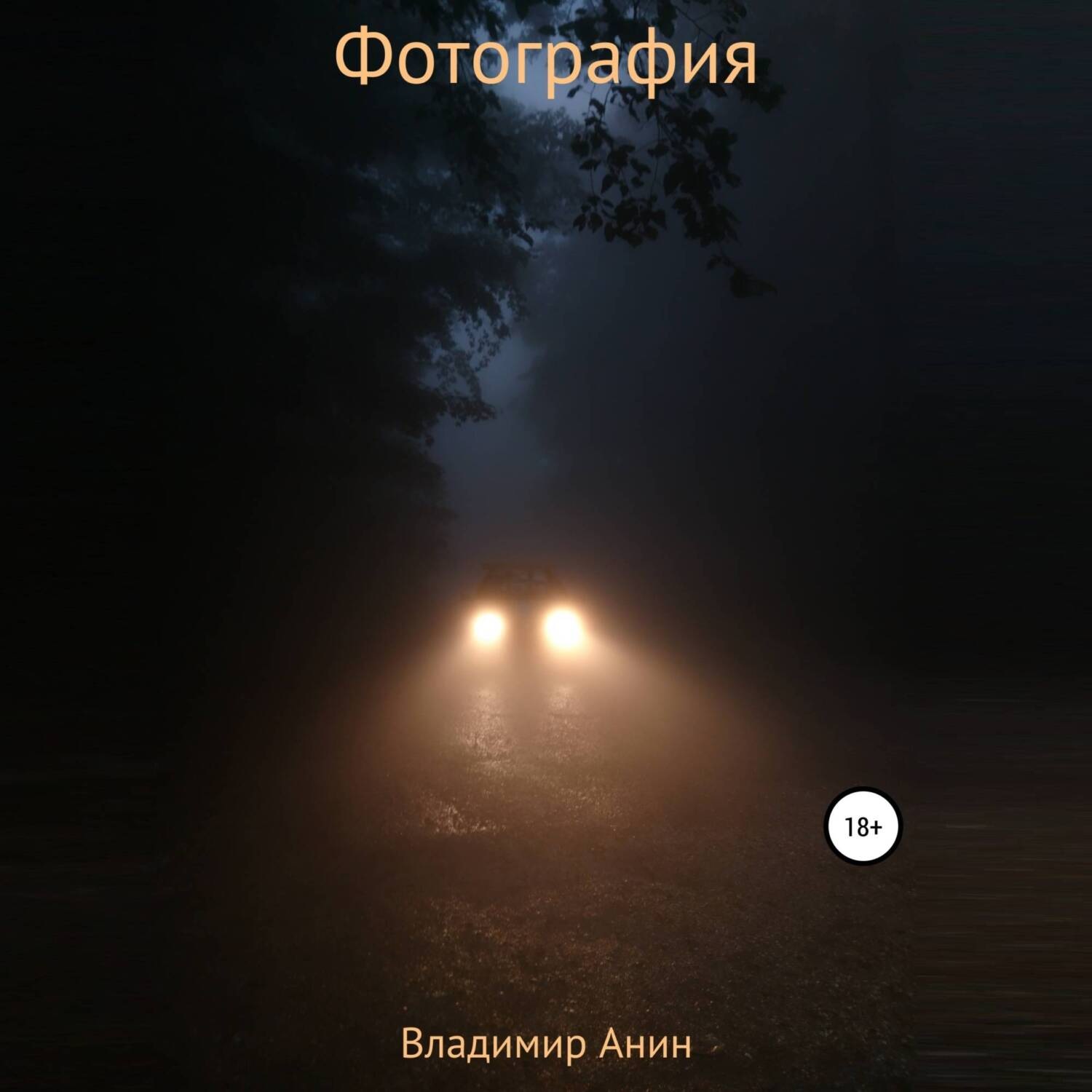 Обложка книги «Фотография»