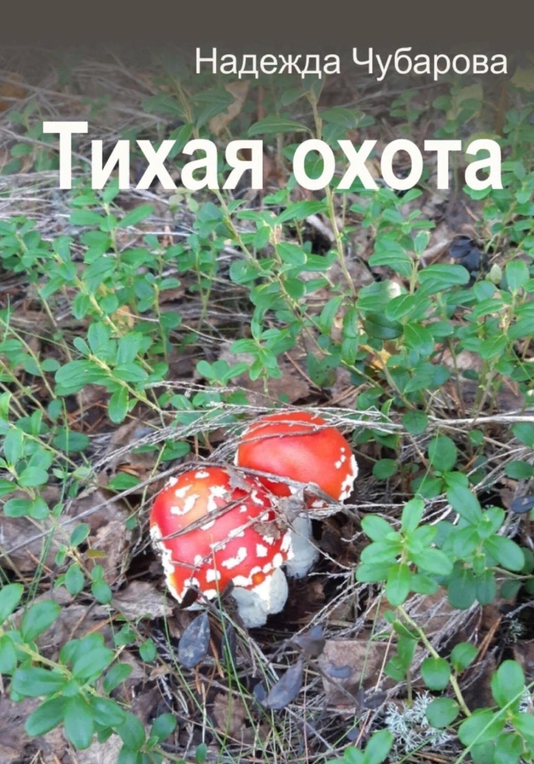 Обложка книги «Тихая охота»