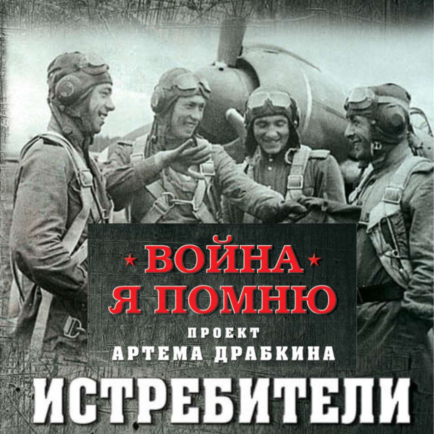 Обложка книги «Истребители»