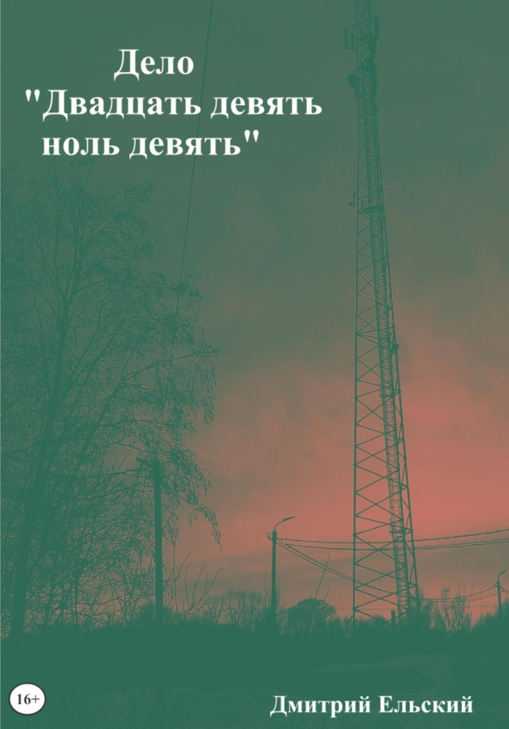 Обложка книги «Дело «Двадцать девять ноль девять»»