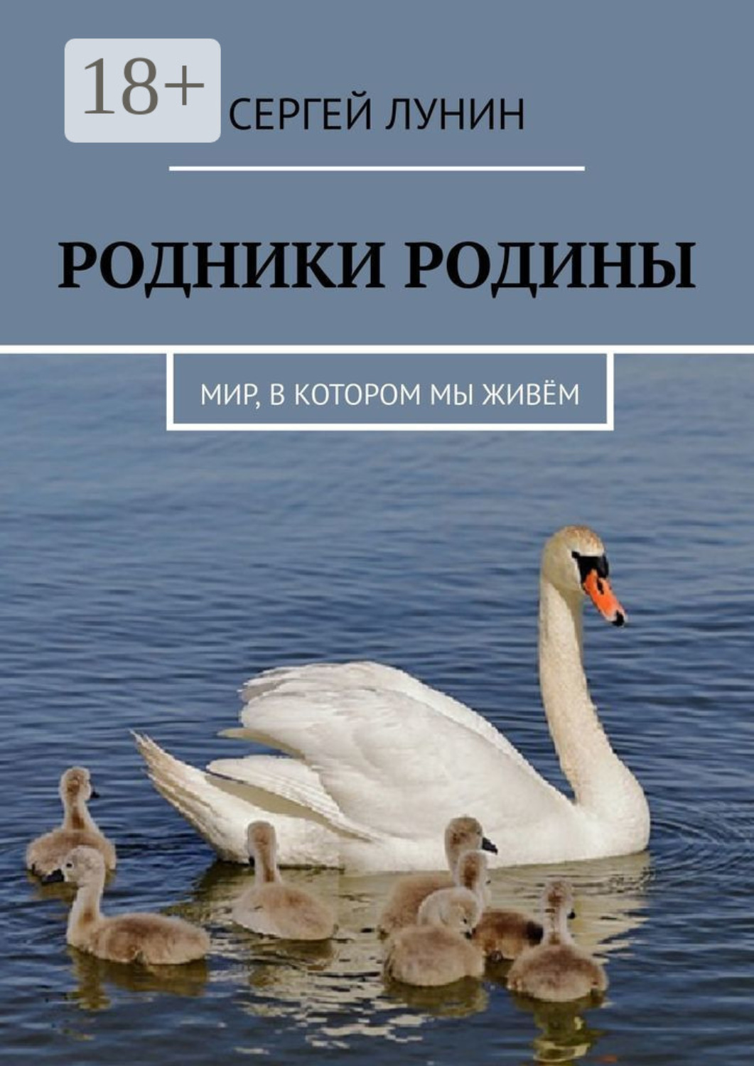 Обложка книги «Родники Родины. Мир, в котором мы живём»