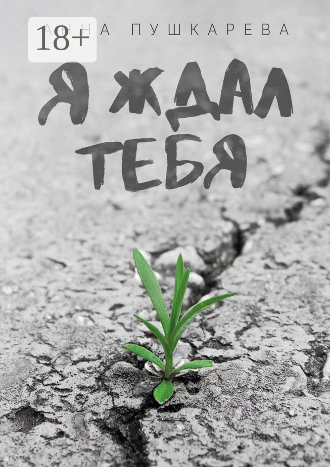 Обложка книги «Я ждал тебя…»