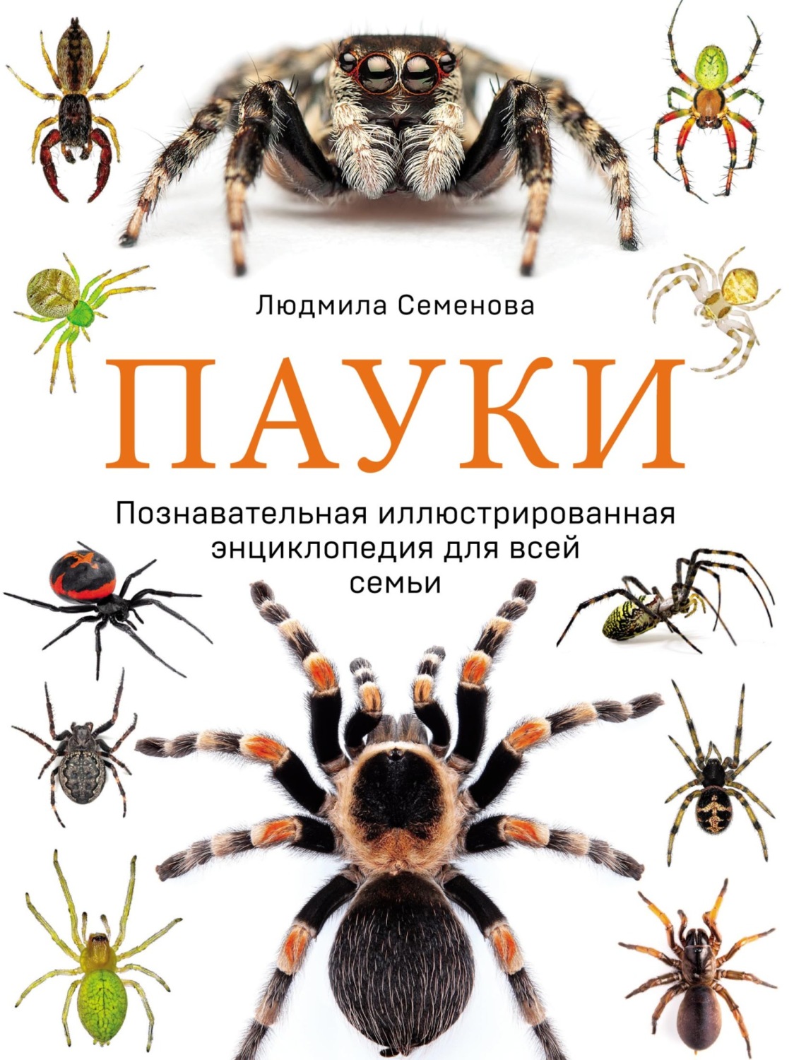 Обложка книги «Пауки. Познавательная иллюстрированная энциклопедия для всей семьи»