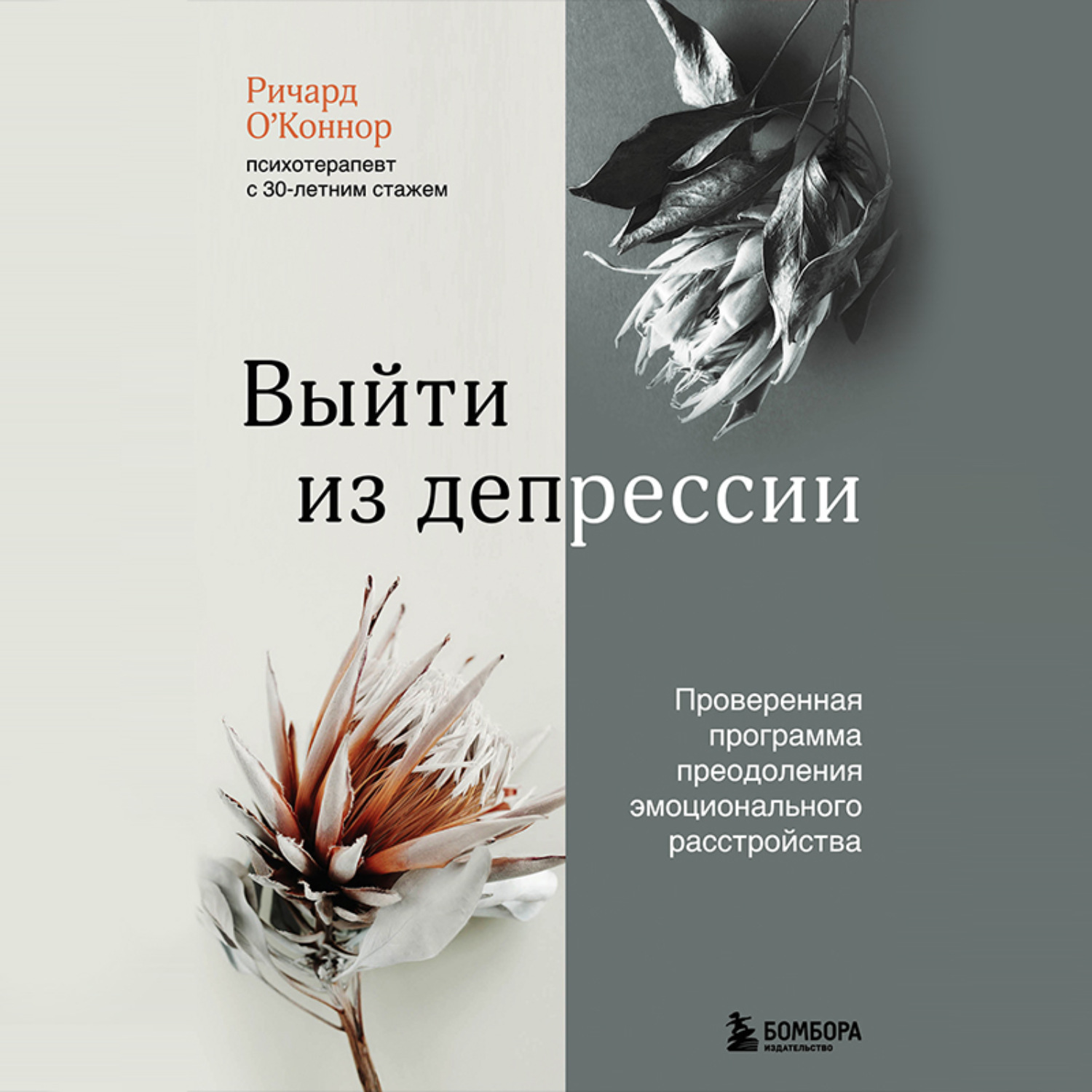 Обложка книги «Выйти из депрессии. Проверенная программа преодоления эмоционального расстройства»
