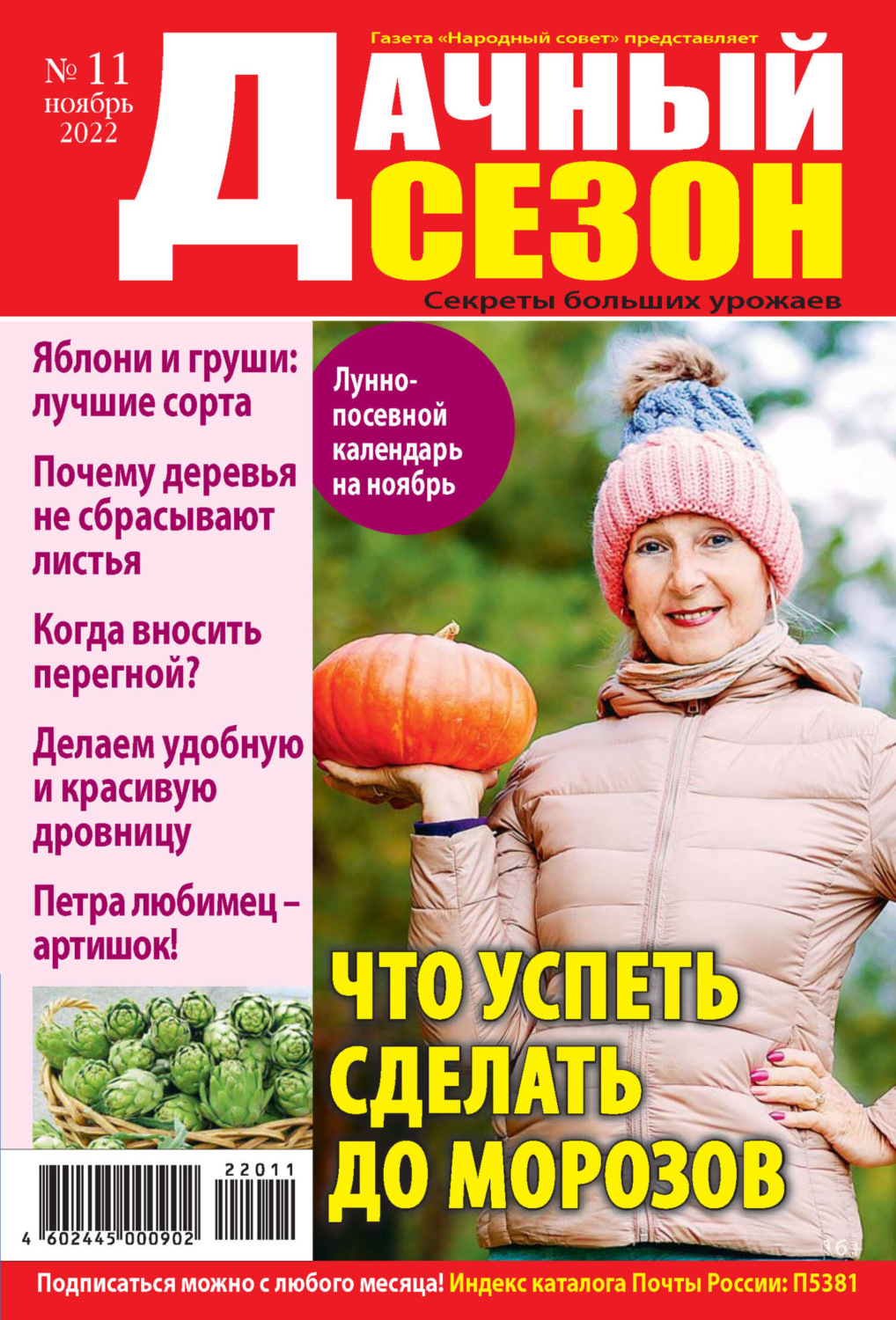 Обложка книги «Дачный сезон №11/2022»