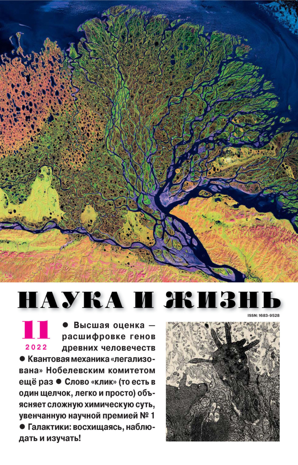 Обложка книги «Наука и жизнь №11/2022»