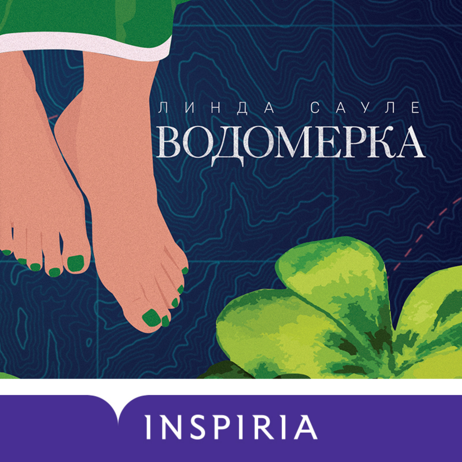 Обложка книги «Водомерка»