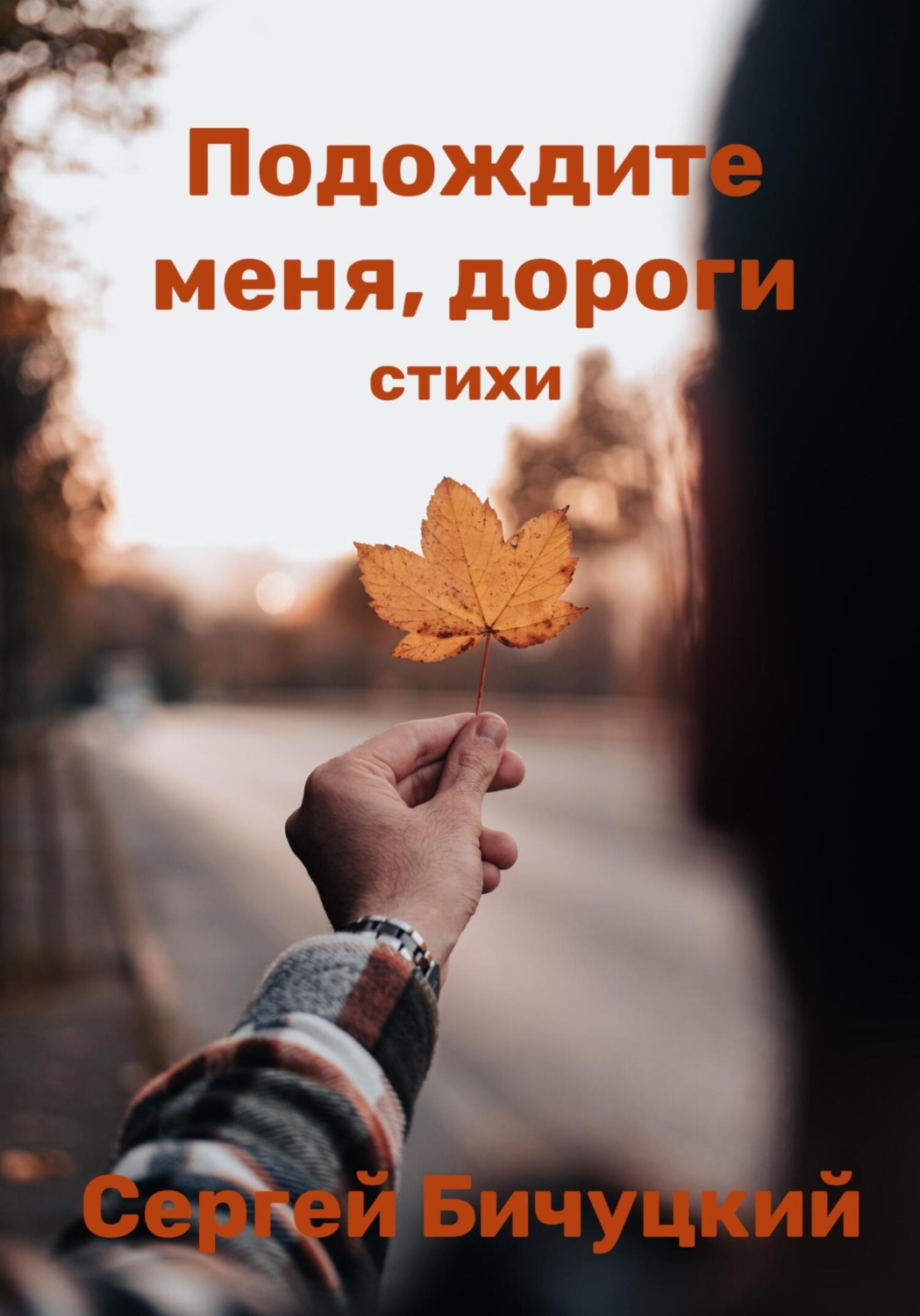 Обложка книги «Подождите меня, дороги»