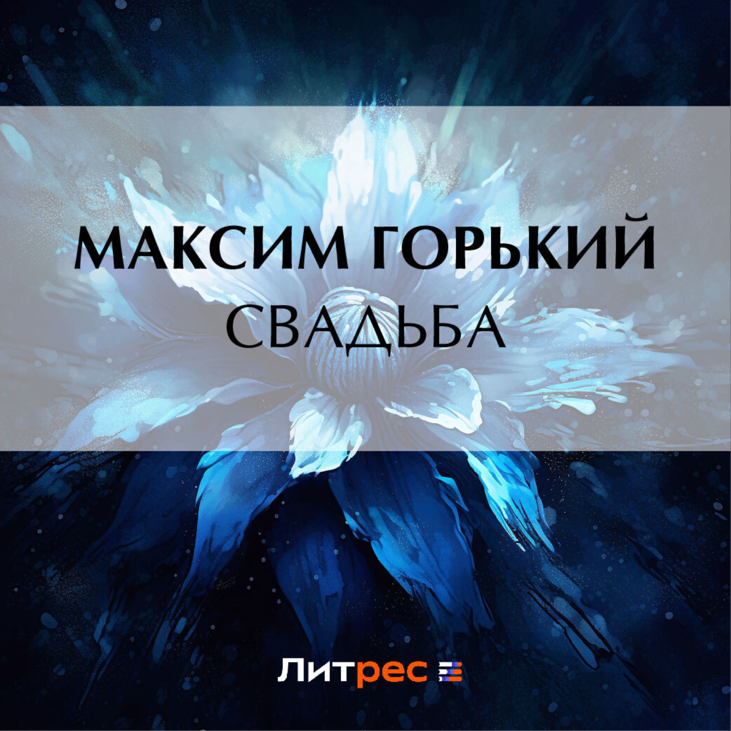 Обложка книги «Свадьба»