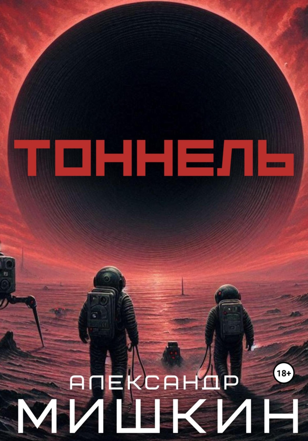Обложка книги «Тоннель»