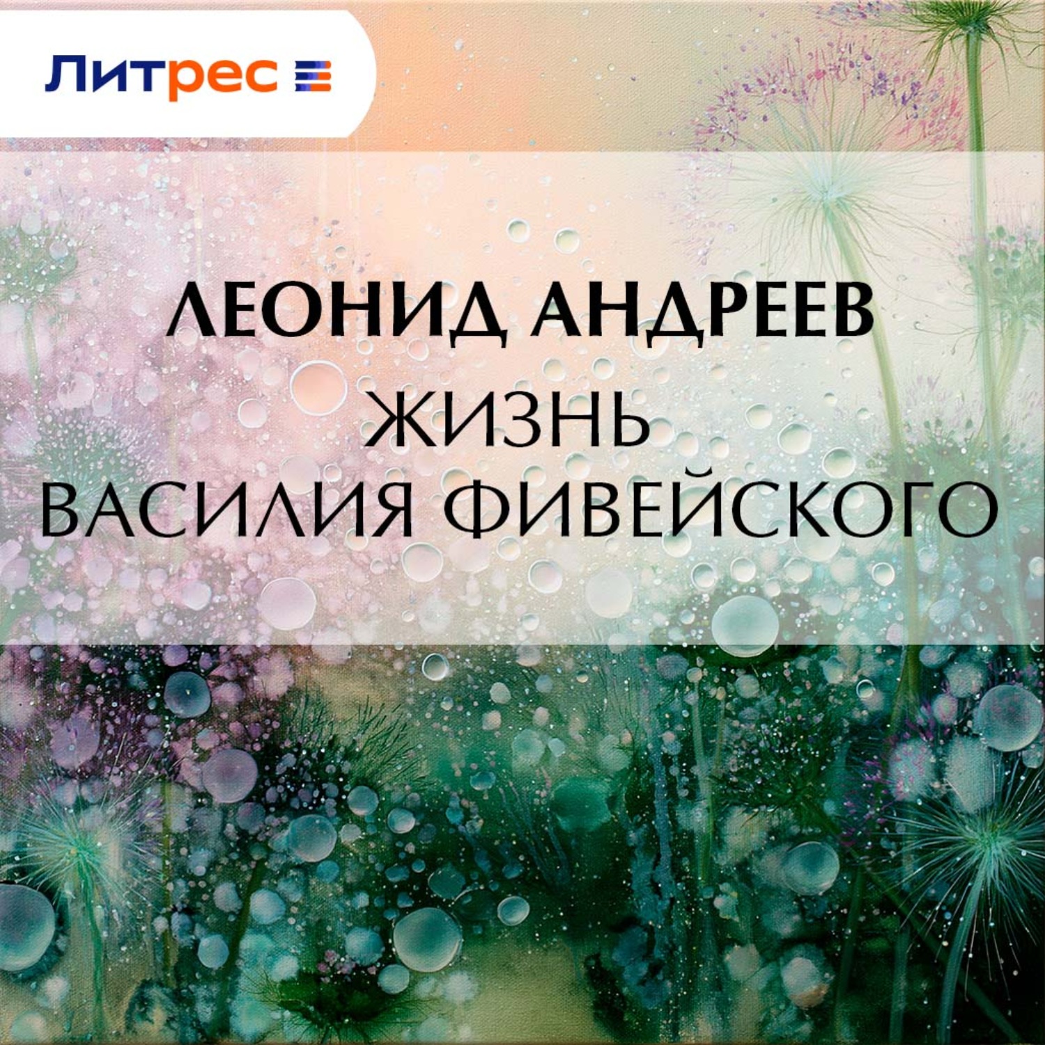 Обложка книги «Жизнь Василия Фивейского»