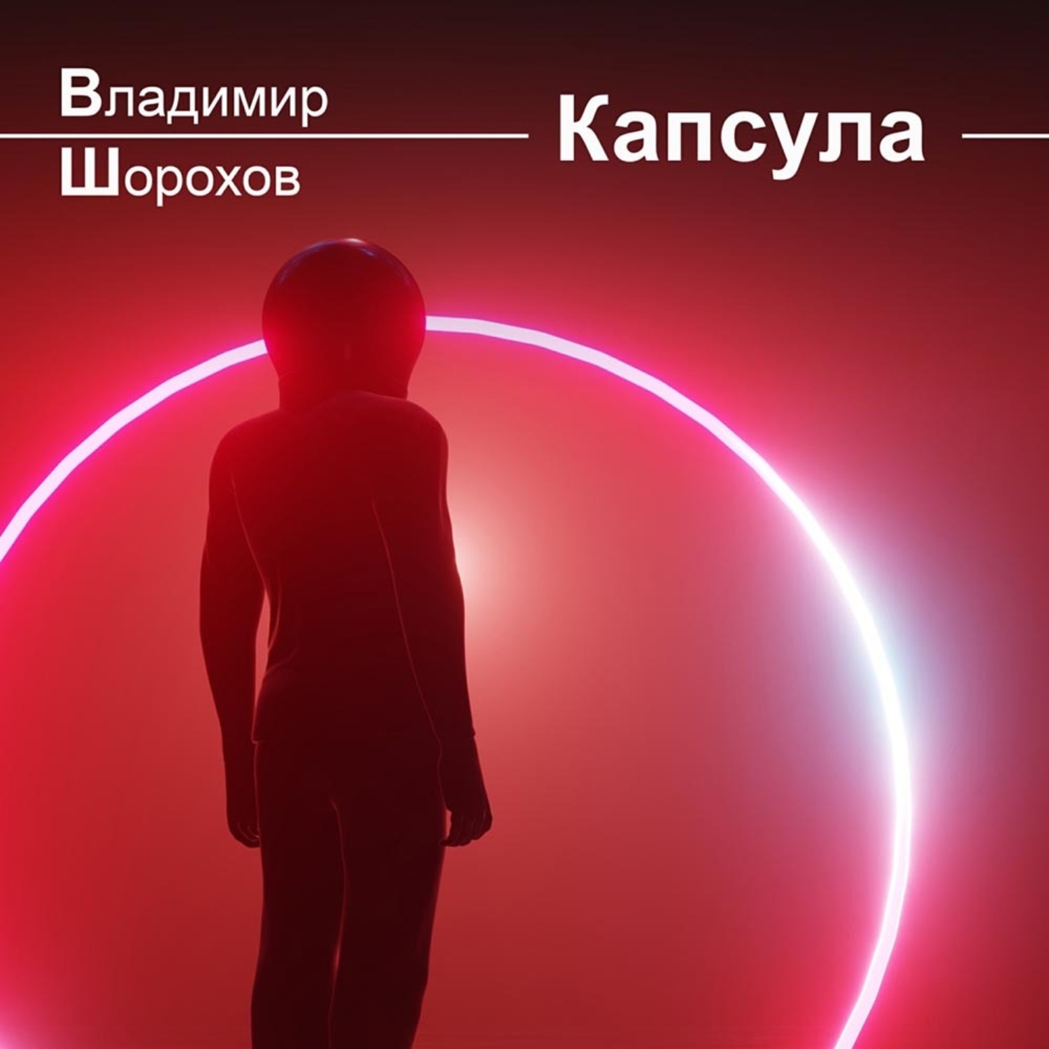 Обложка книги «Капсула»