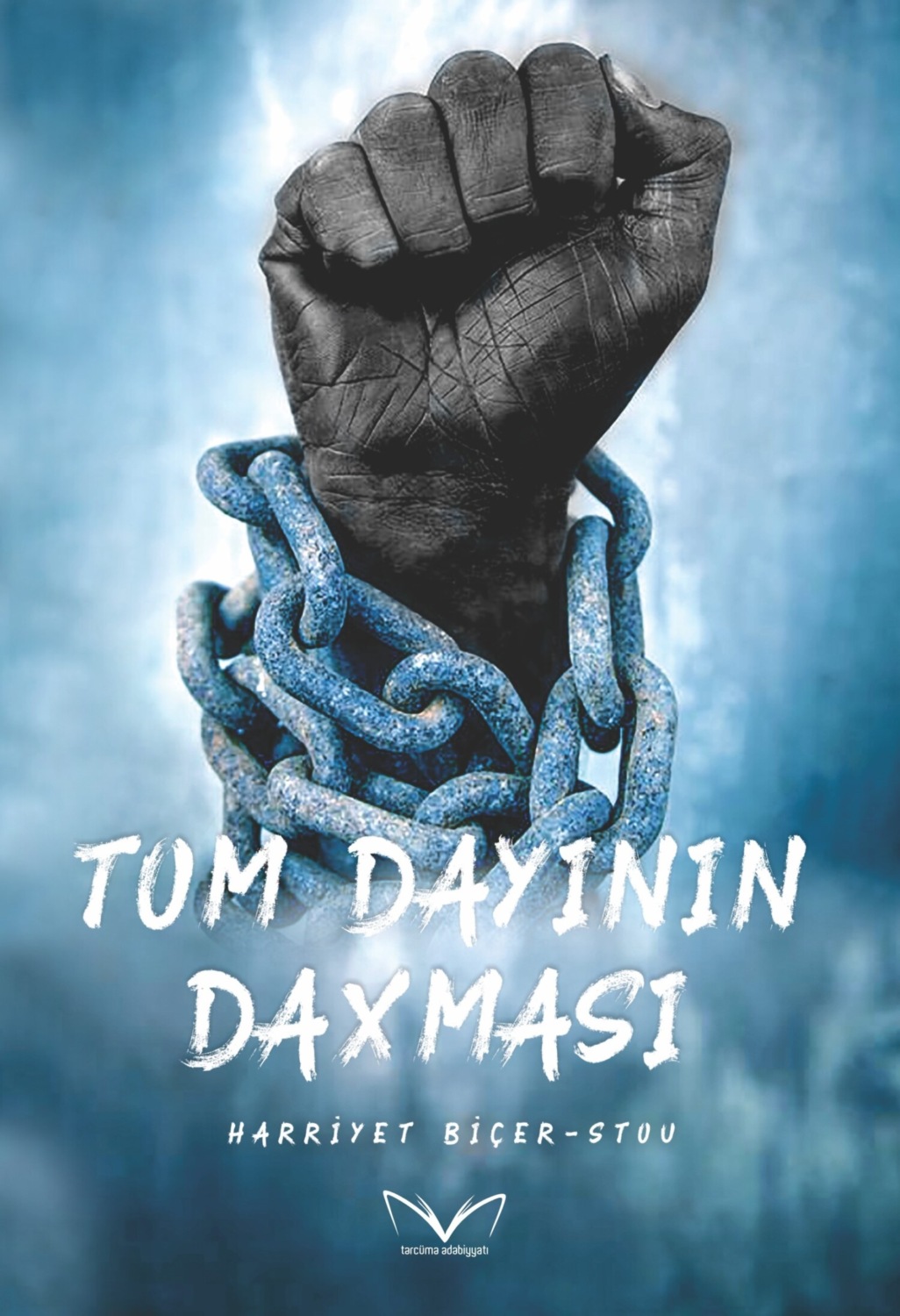 Обложка книги «Tom dayının daxması»