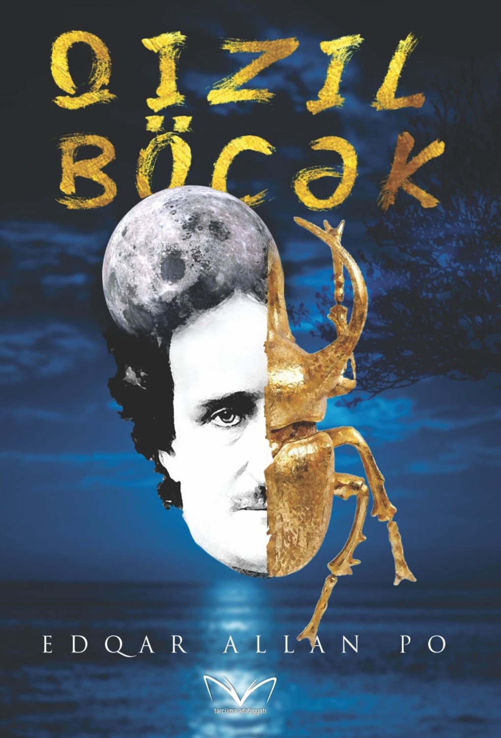 Обложка книги «Qızıl böcək»