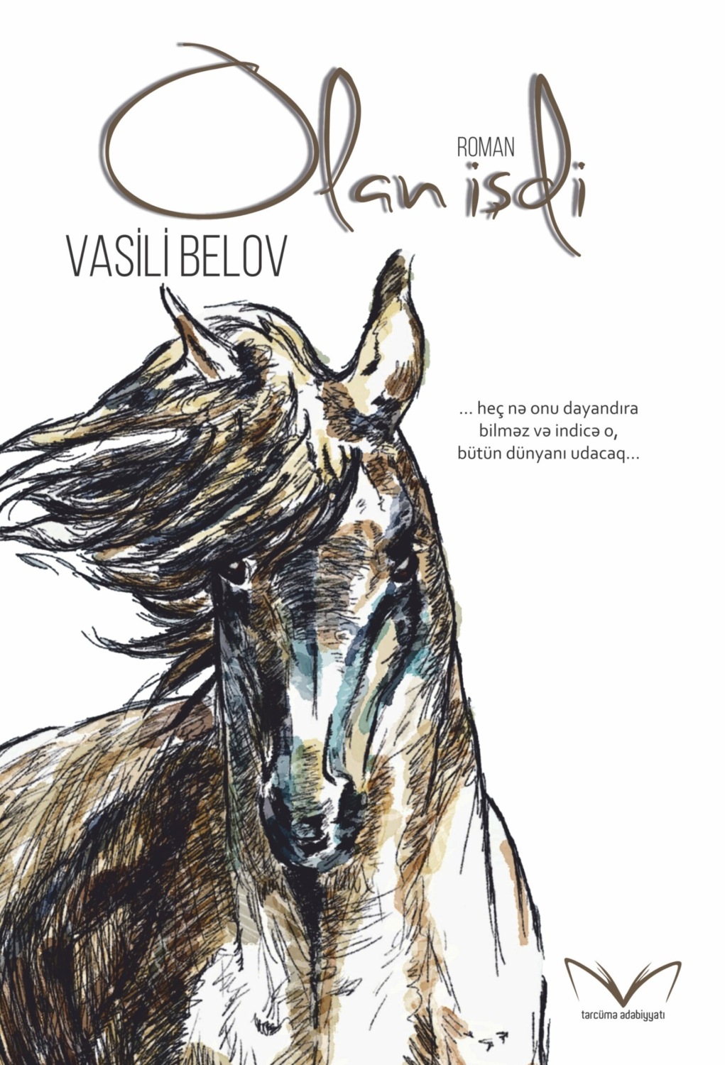 Обложка книги «Olan işdi»
