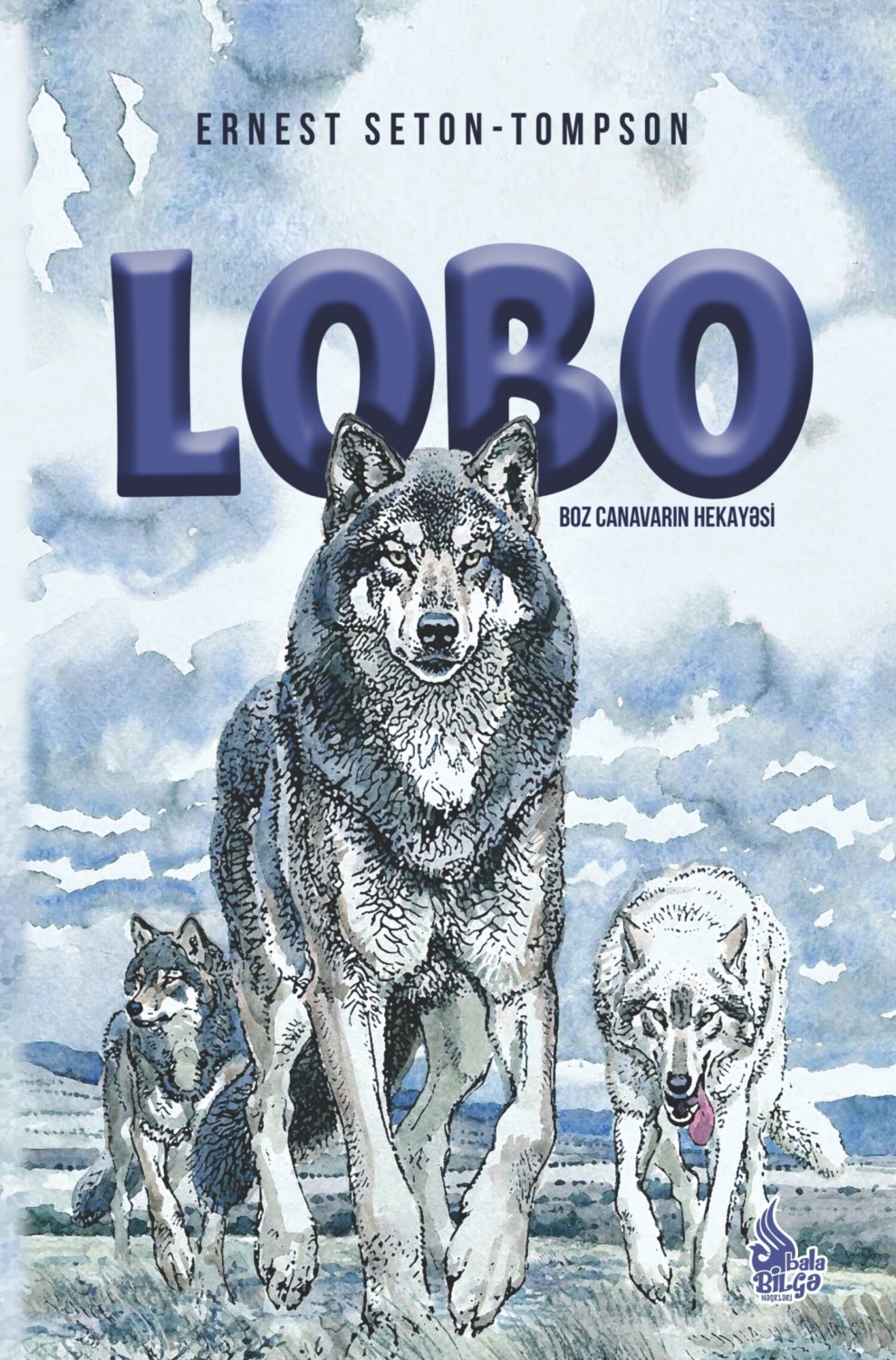 Обложка книги «Loqo»
