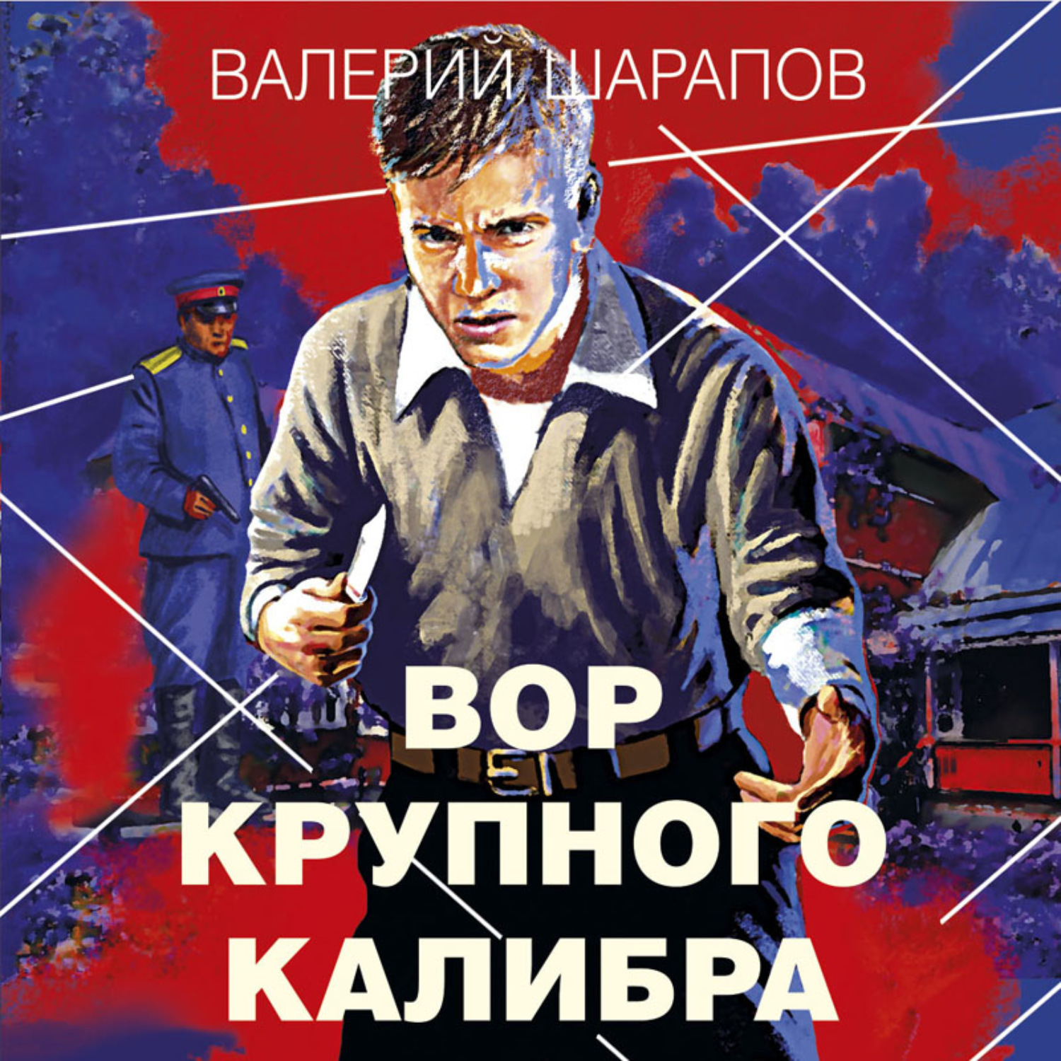 Обложка книги «Вор крупного калибра»