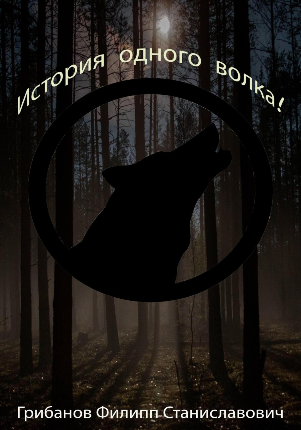 Обложка книги «История одного волка!»