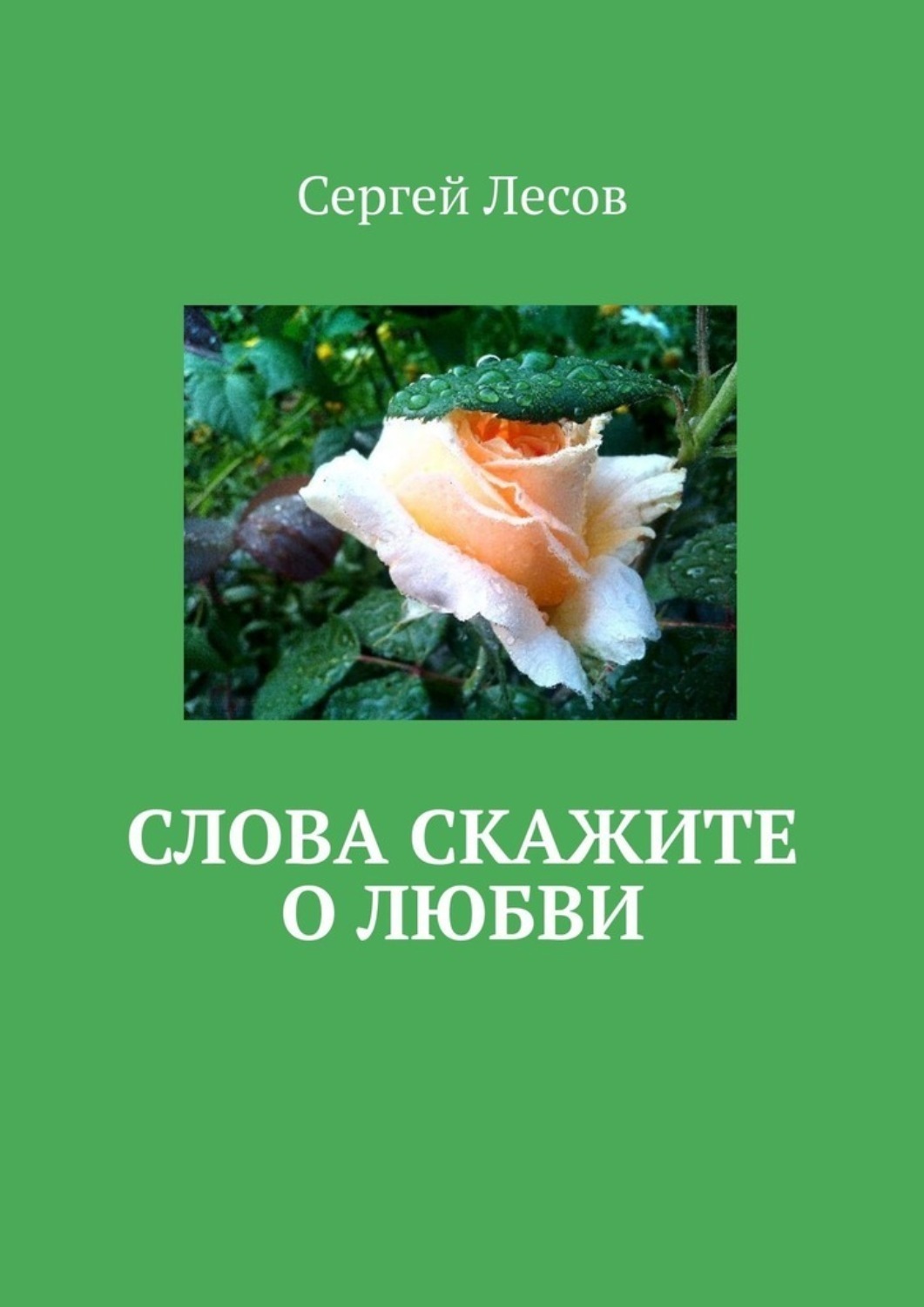 Обложка книги «Слова скажите о любви»