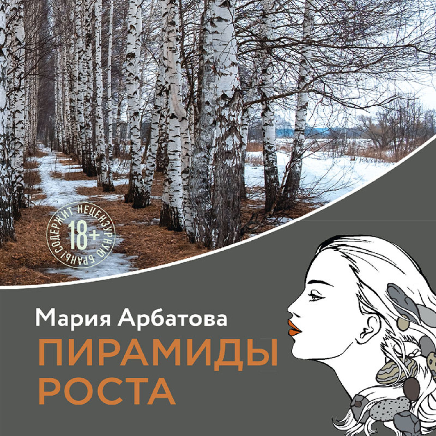 Обложка книги «Пирамиды роста»