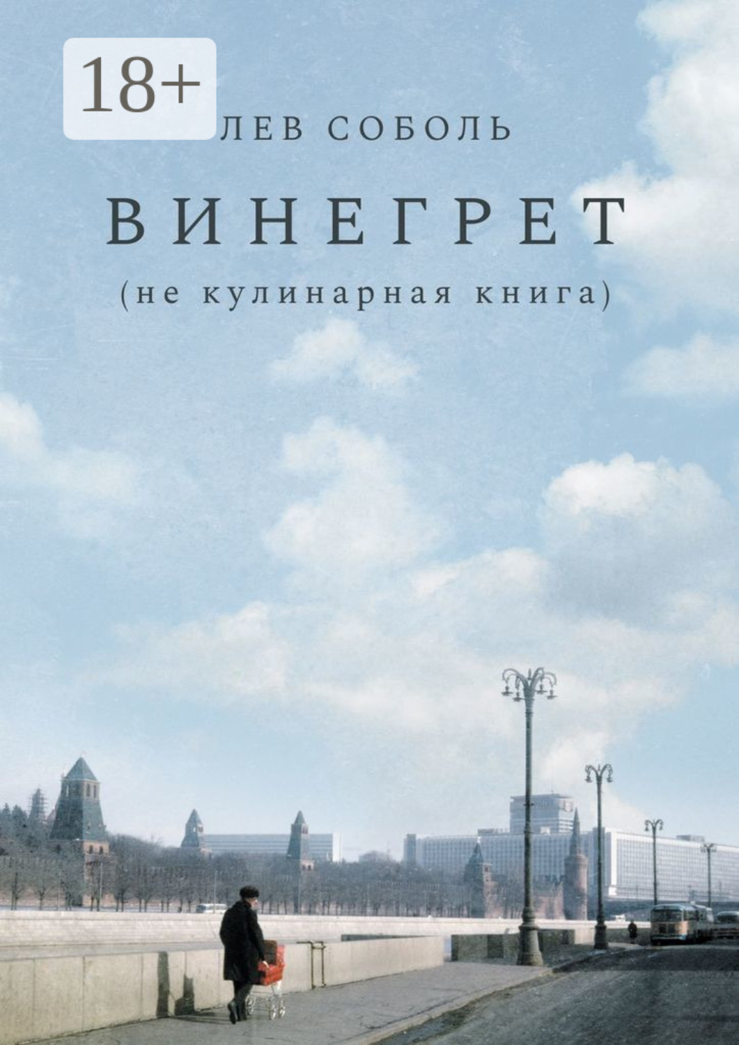 Обложка книги «Винегрет. Не кулинарная книга»