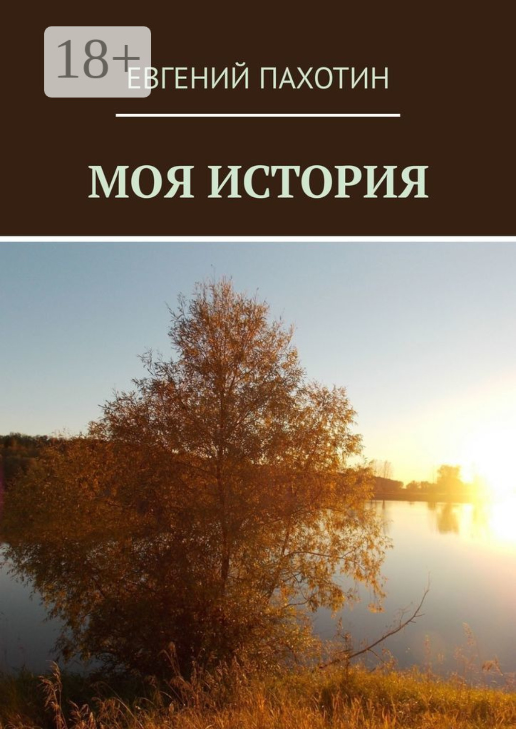 Обложка книги «Моя история»