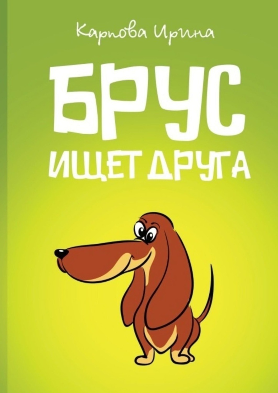Обложка книги «Брус ищет друга»