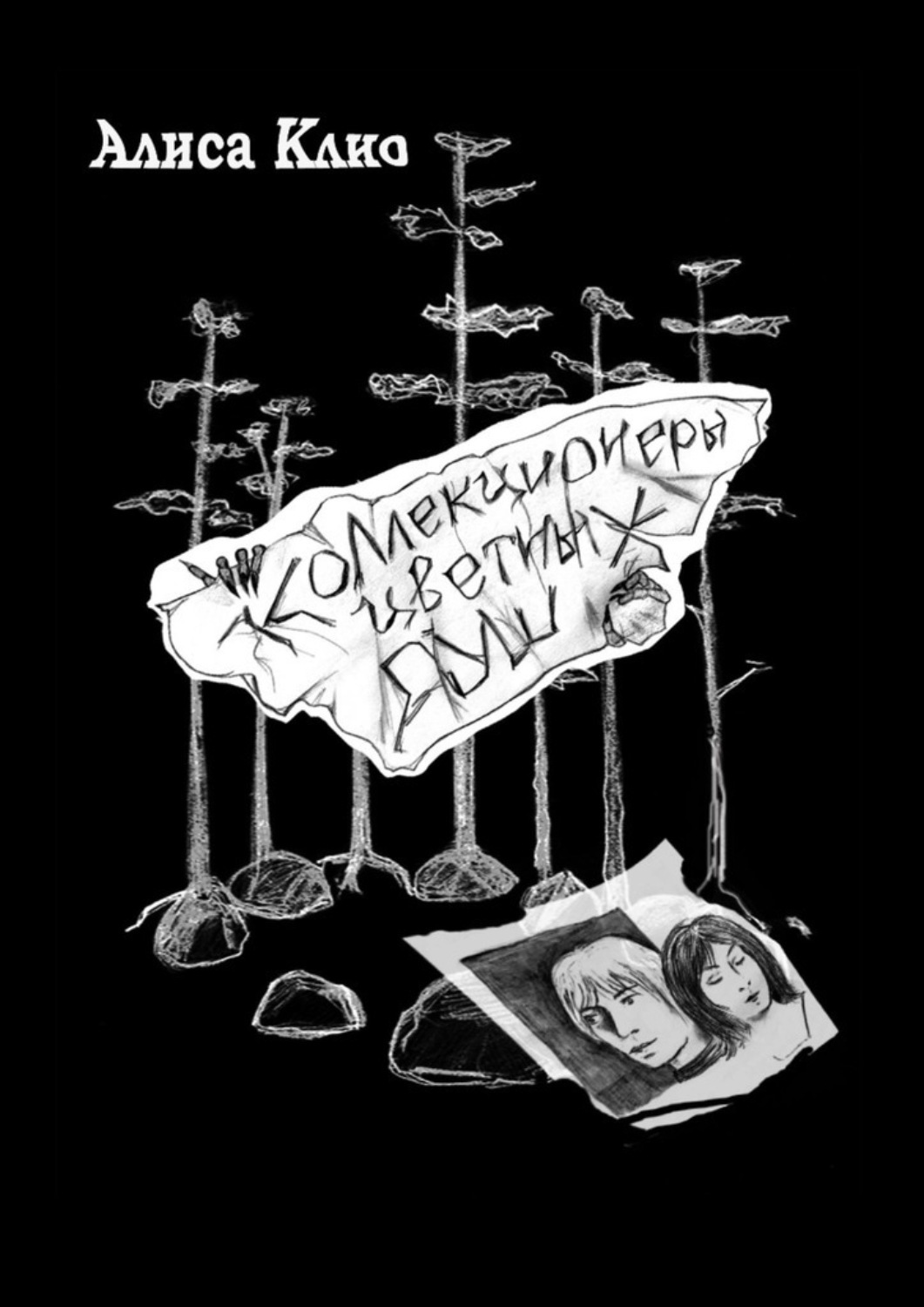 Обложка книги «Коллекционеры цветных душ»