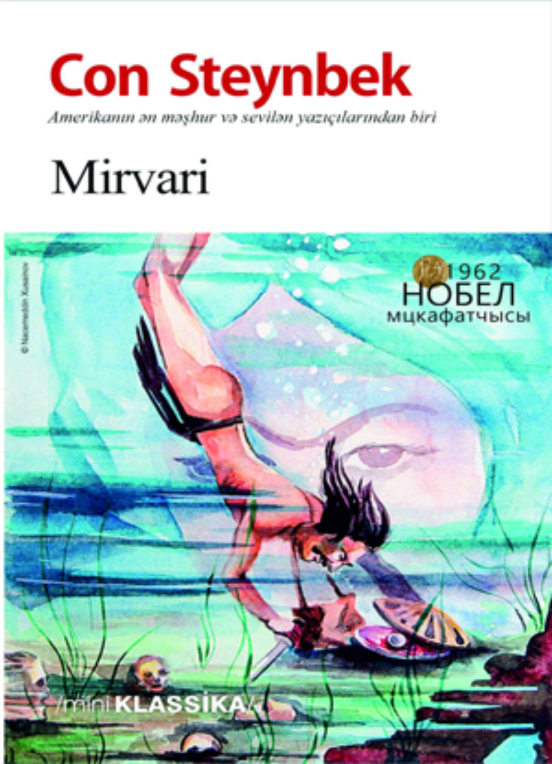 Обложка книги «MİRVARİ»