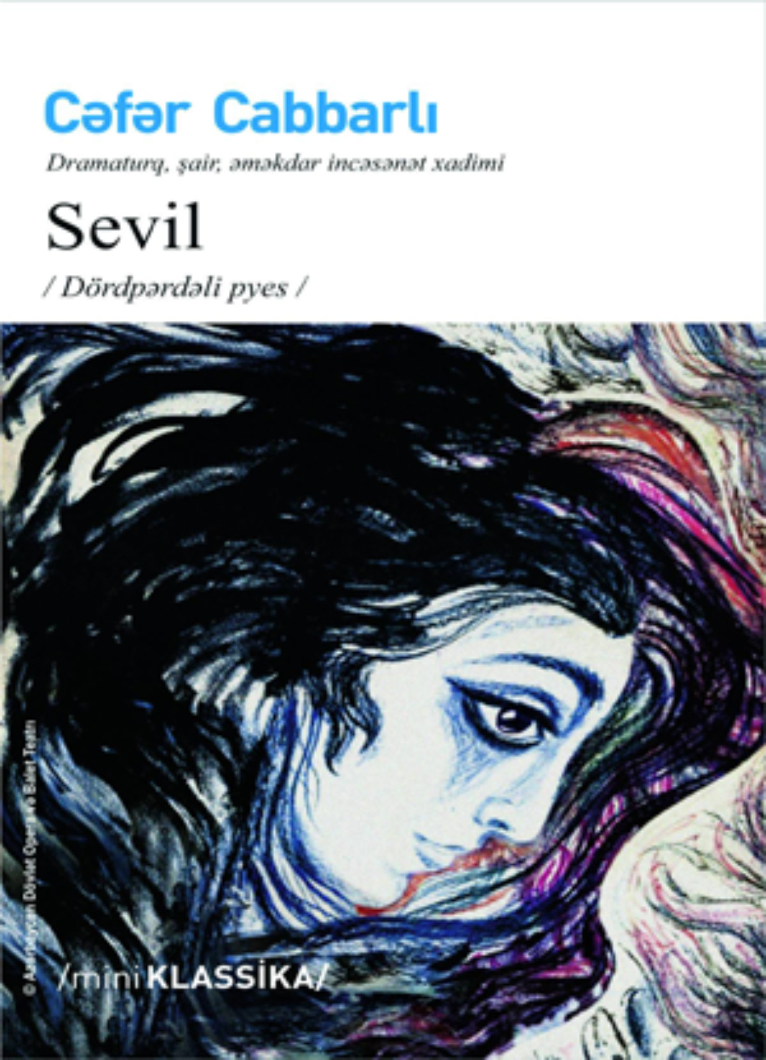 Обложка книги «SEVİL»