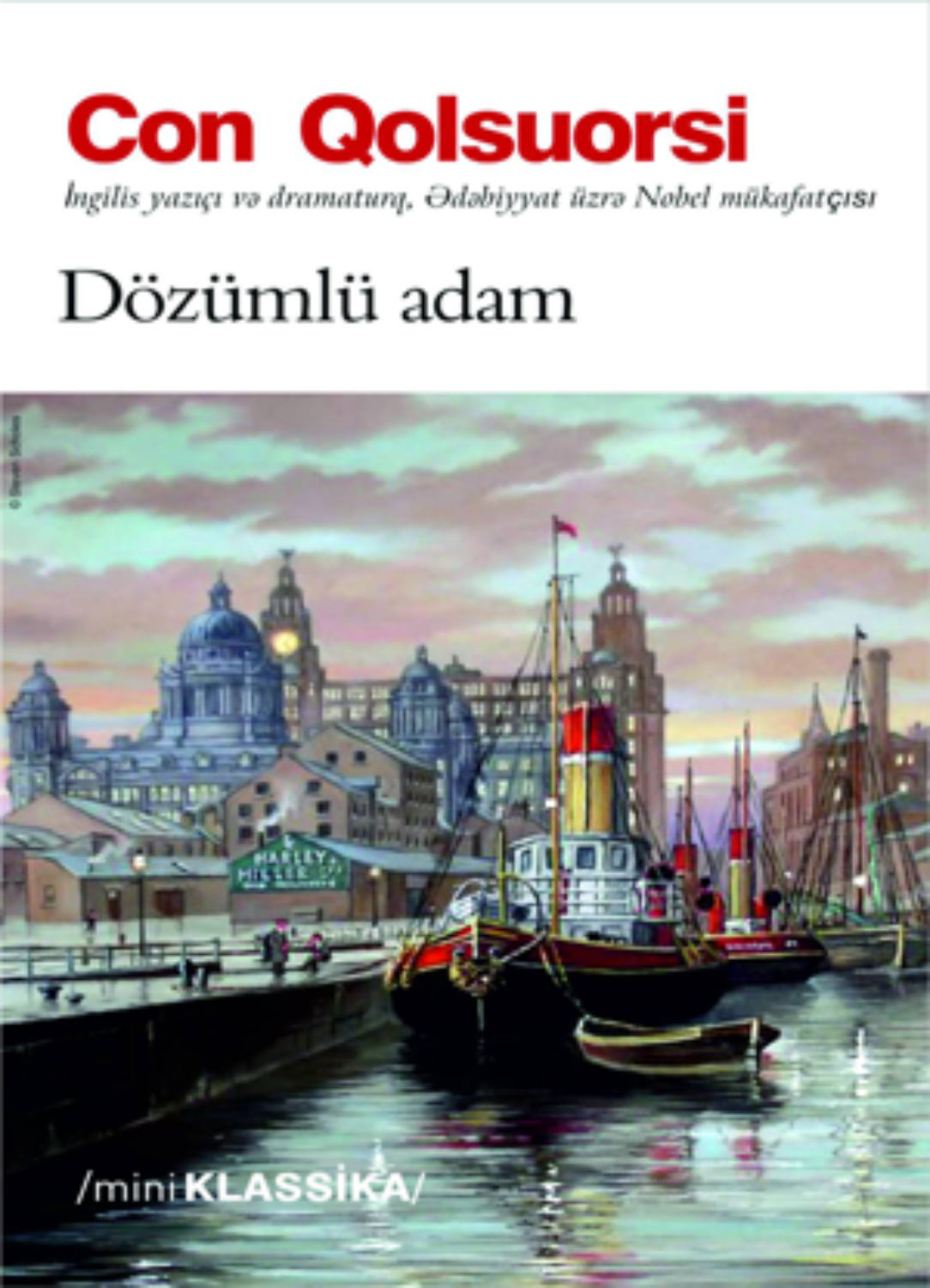 Обложка книги «DÖZÜMLÜ ADAM»