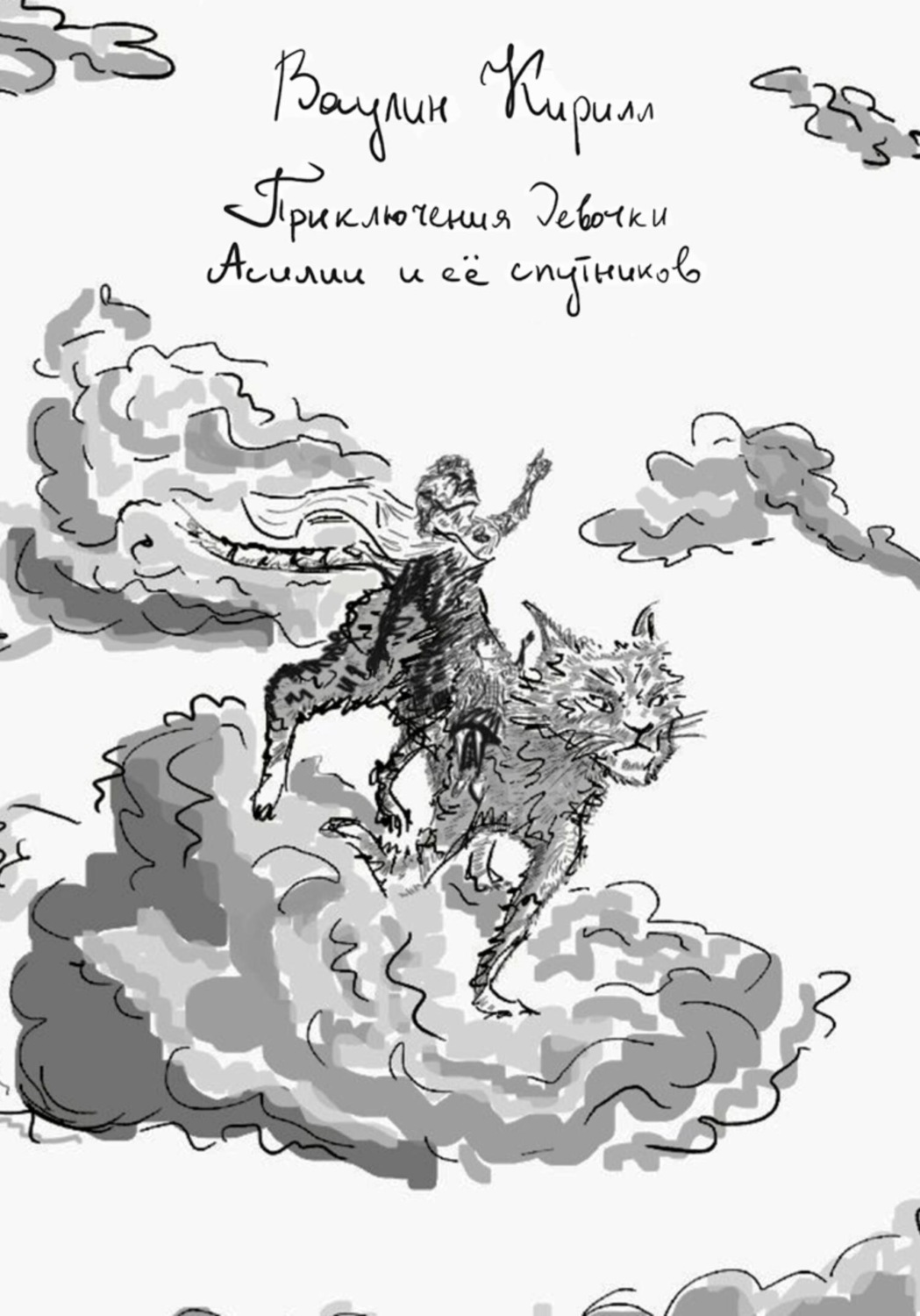 Обложка книги «Приключения девочки Асилии и её спутников»