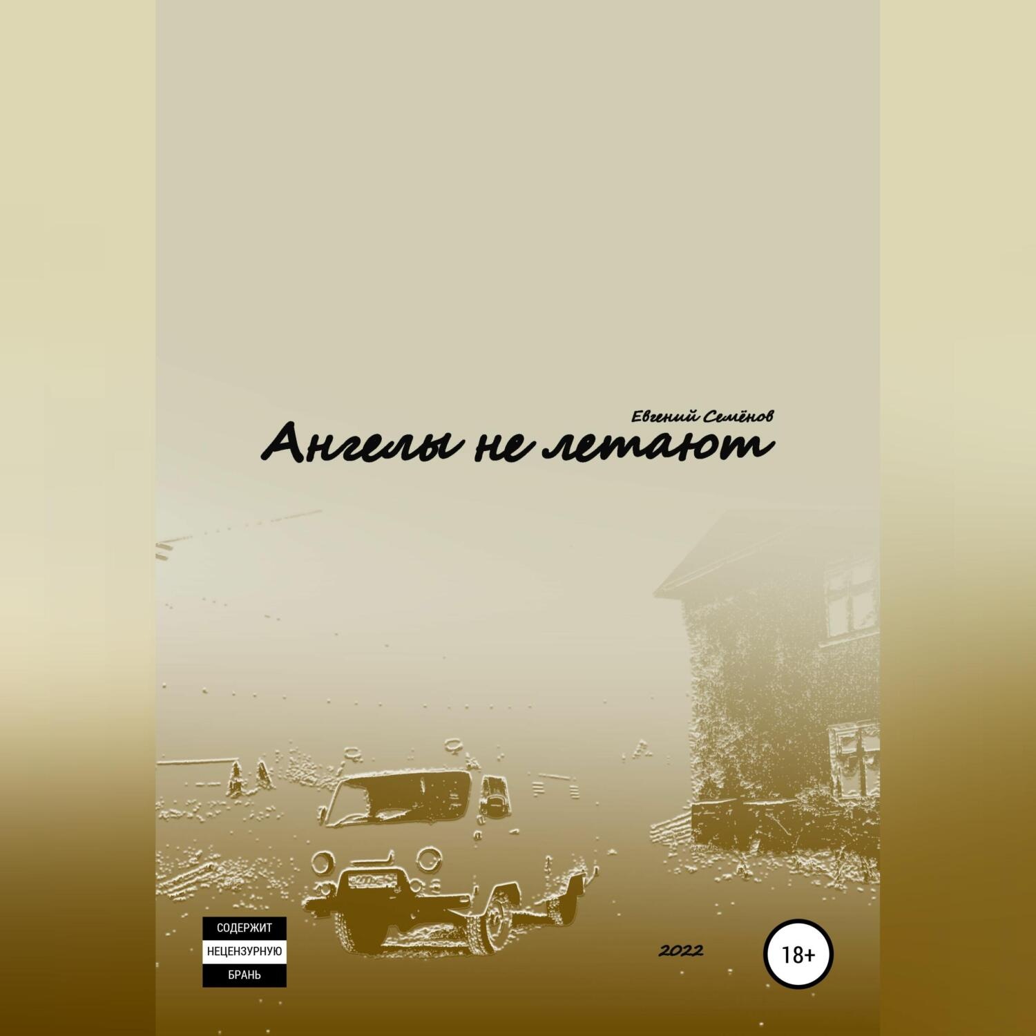 Обложка книги «Ангелы не летают»