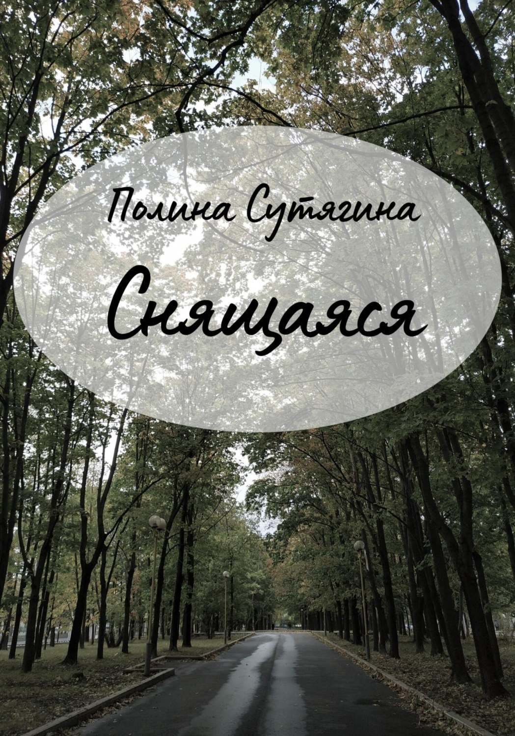 Обложка книги «Снящаяся»