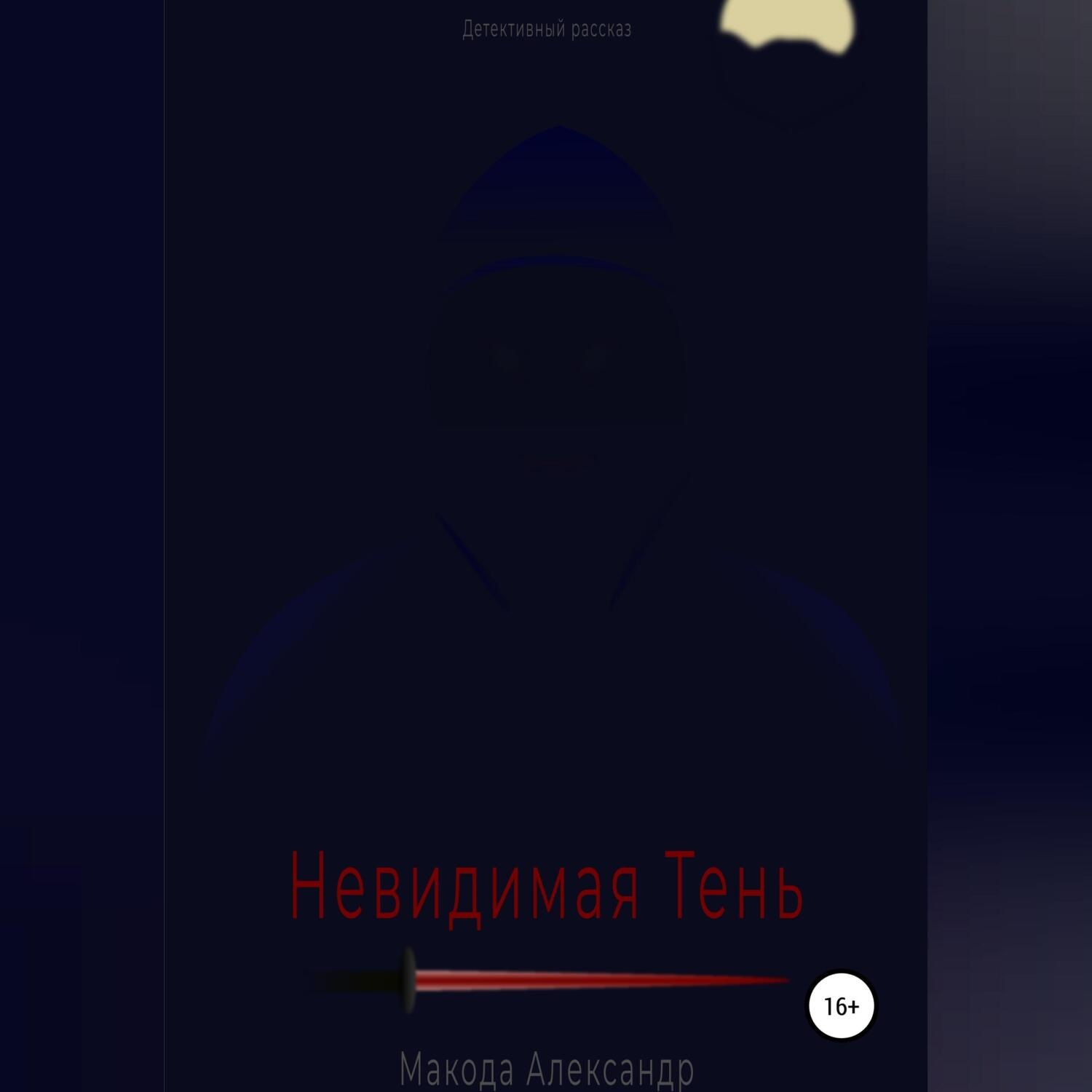 Обложка книги «Невидимая Тень»