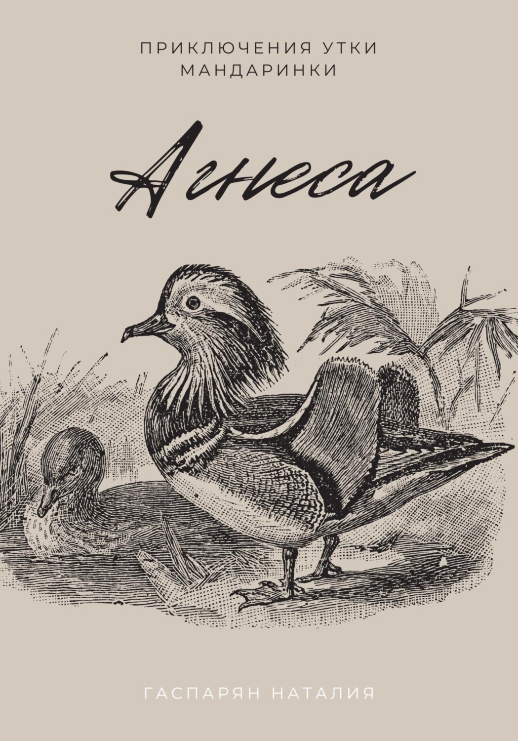 Обложка книги «Агнеса»