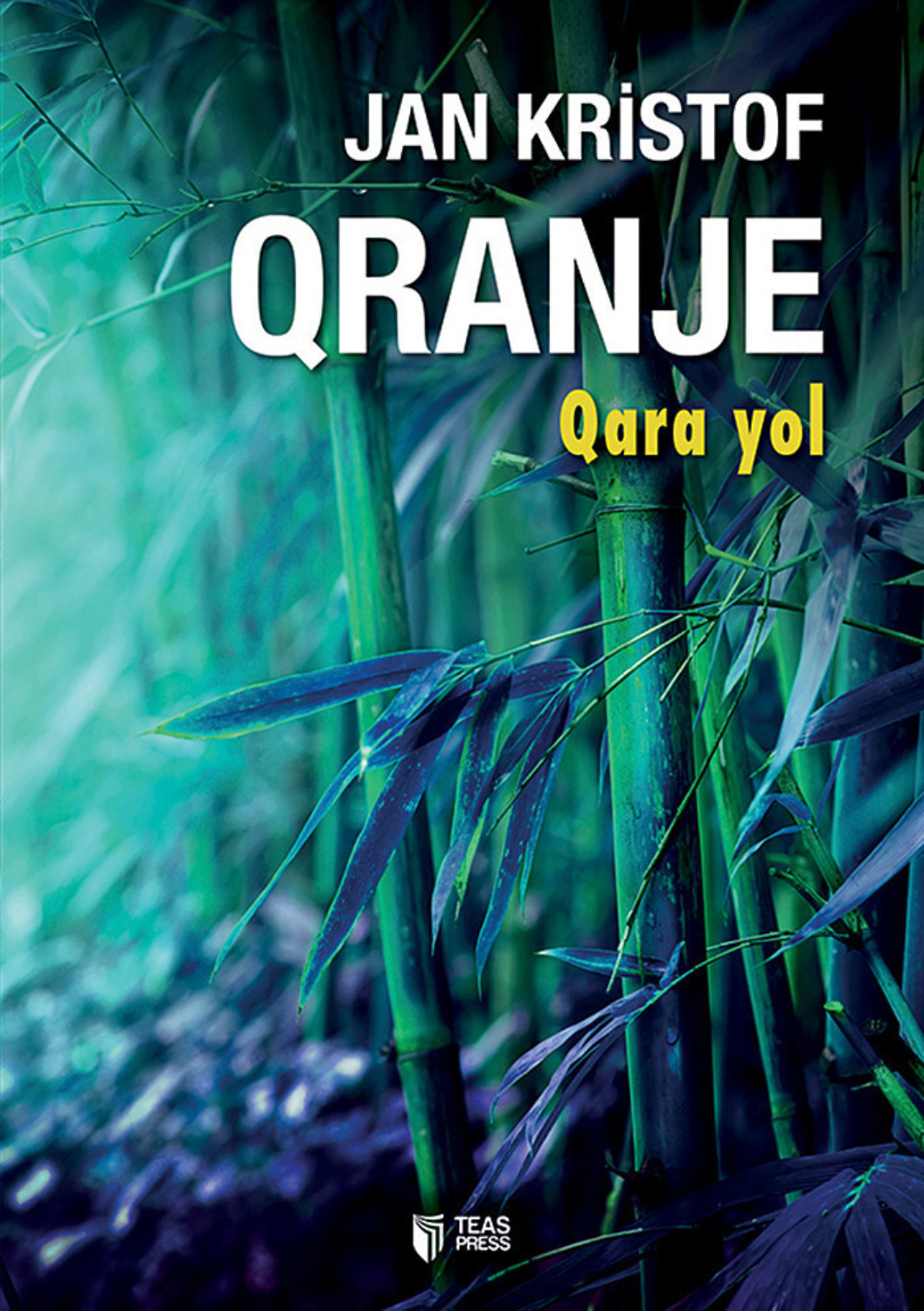 Обложка книги «Qara yol»
