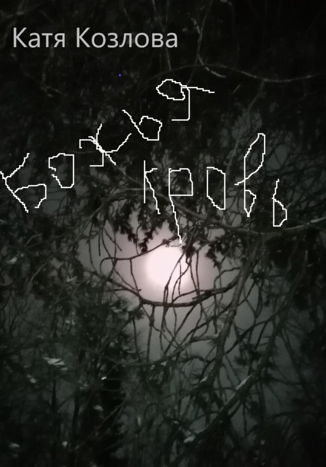 Обложка книги «Божья кровь»