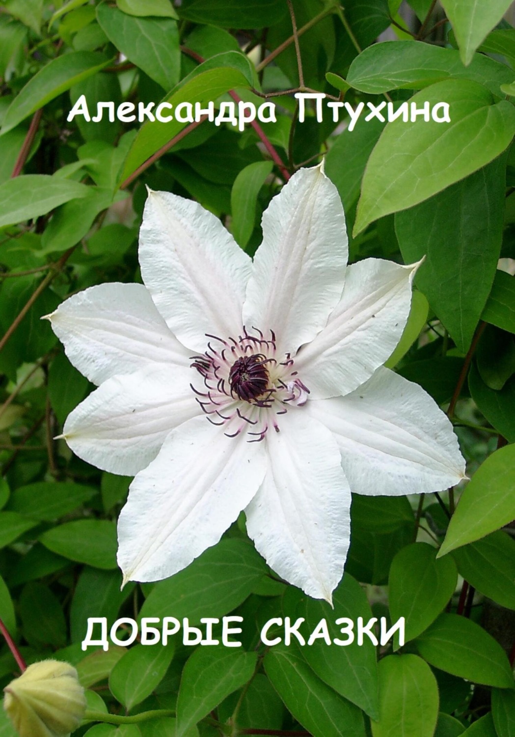 Обложка книги «Добрые сказки»