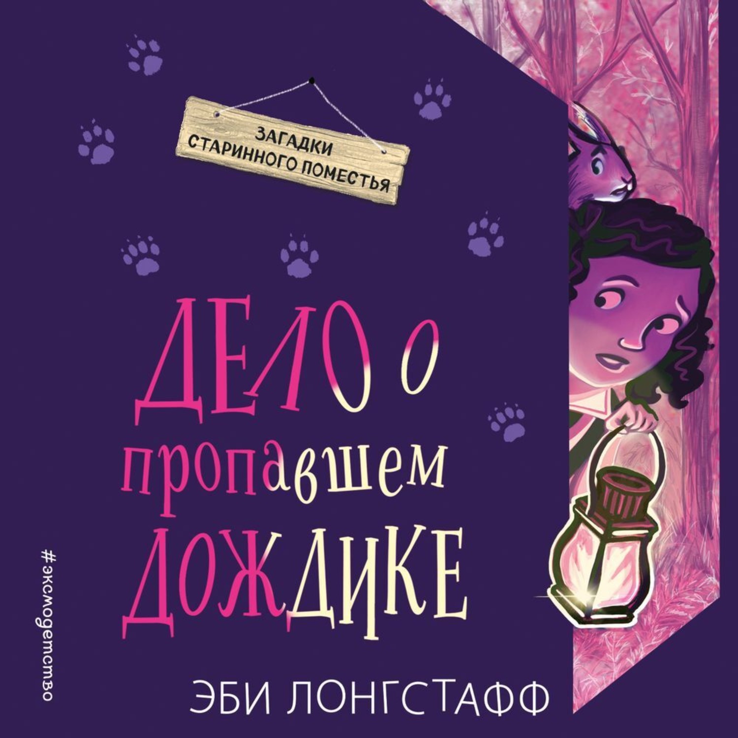Обложка книги «Дело о пропавшем Дождике»