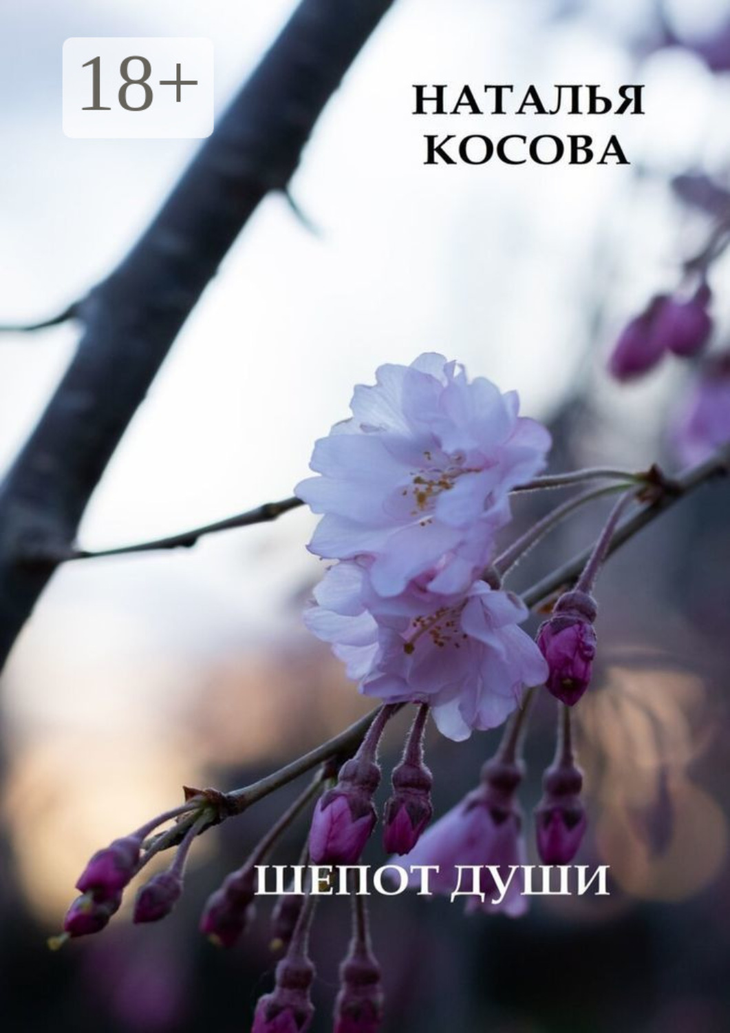 Обложка книги «Шепот души. Сборник стихов»