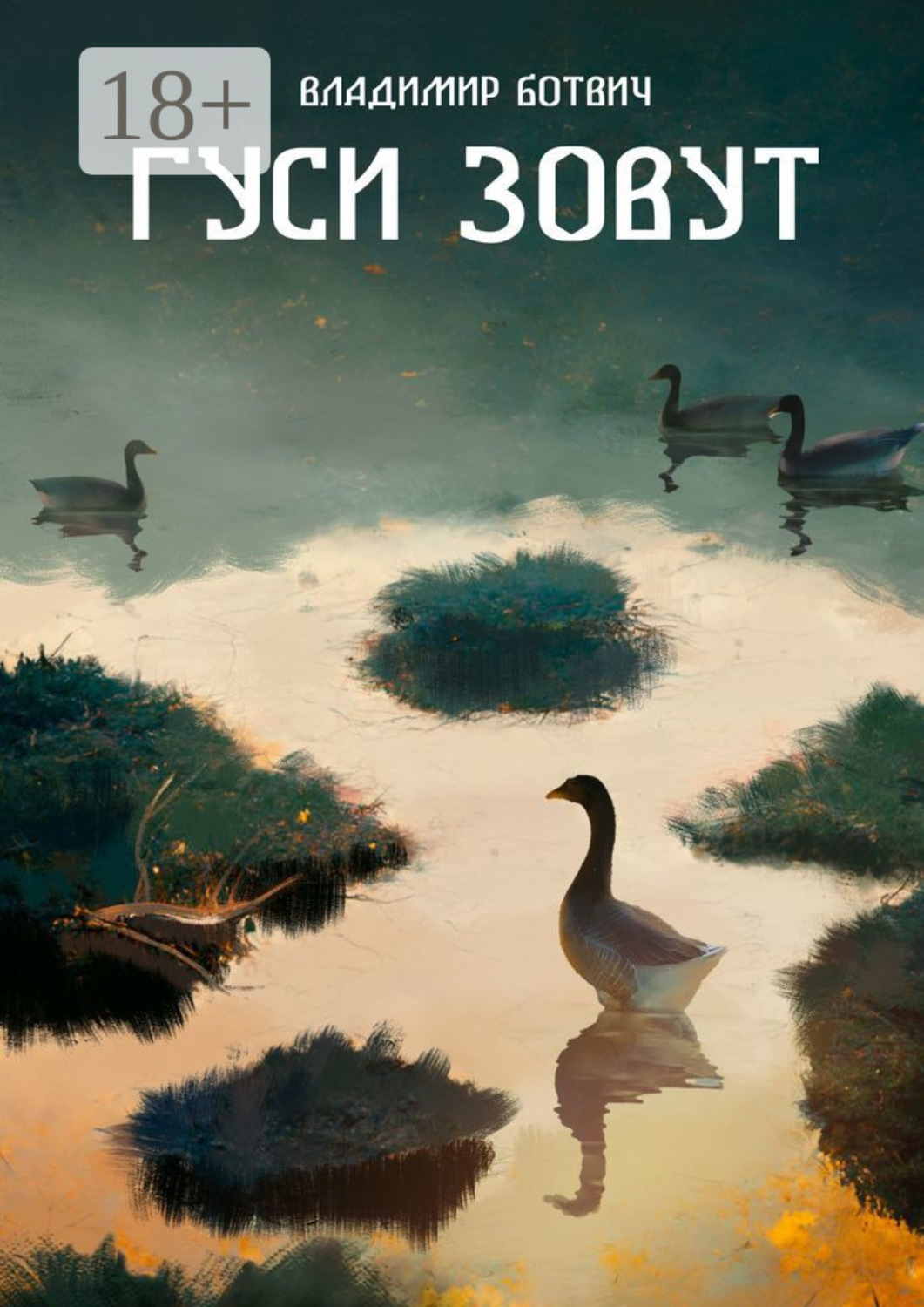 Обложка книги «Гуси зовут. Сборник рассказов об охоте и рыбалке»