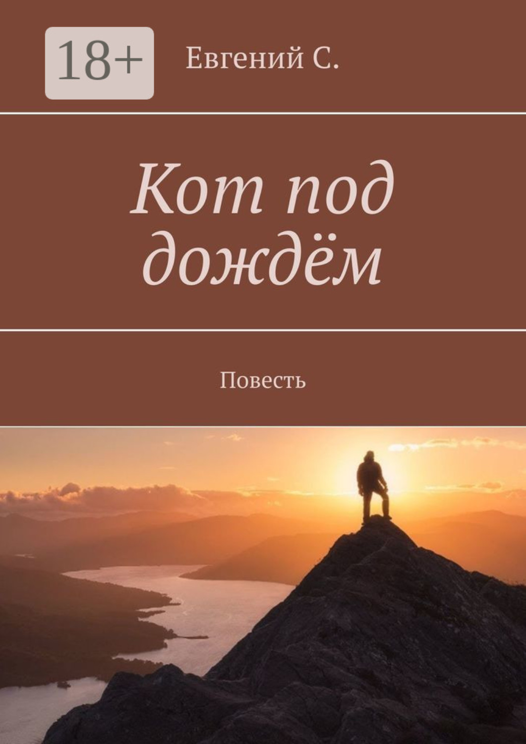 Обложка книги «Кот под дождём. Повесть»