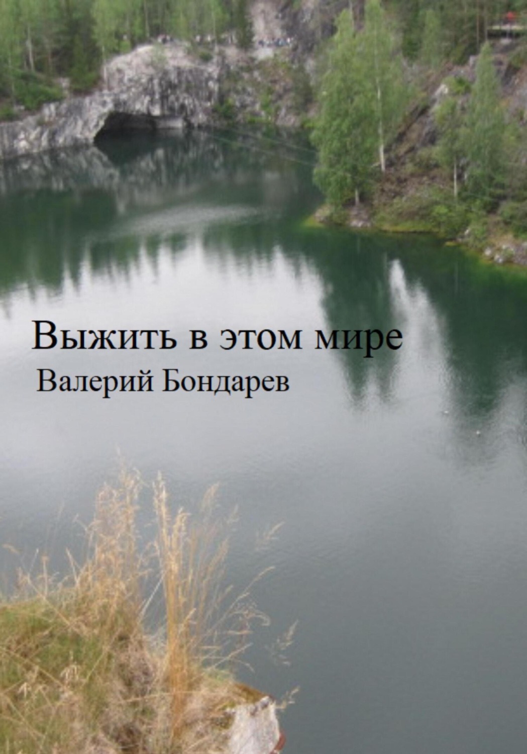 Обложка книги «Выжить в этом мире»